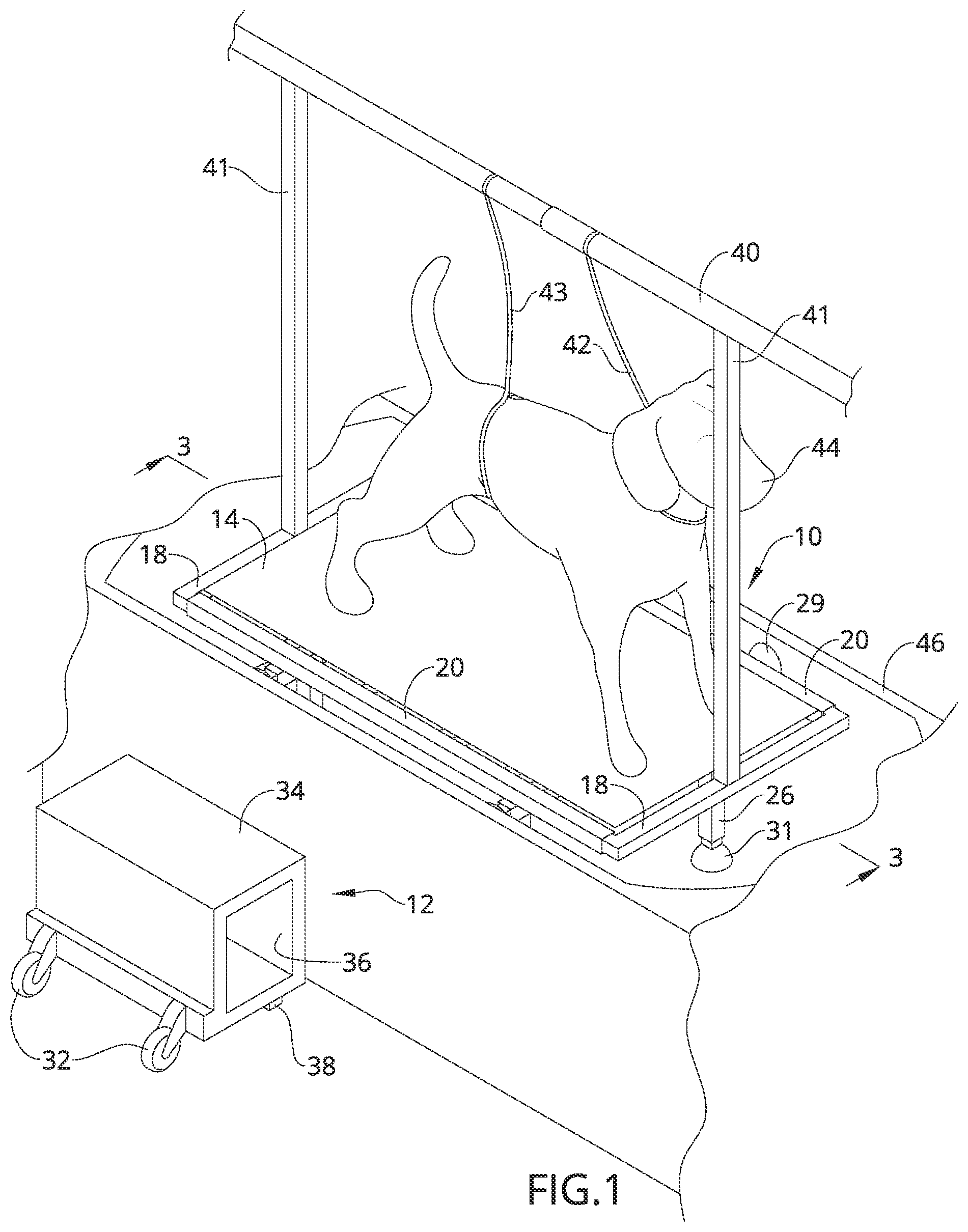 Patent US12317860 Figure 1 – Pet grooming apparatus