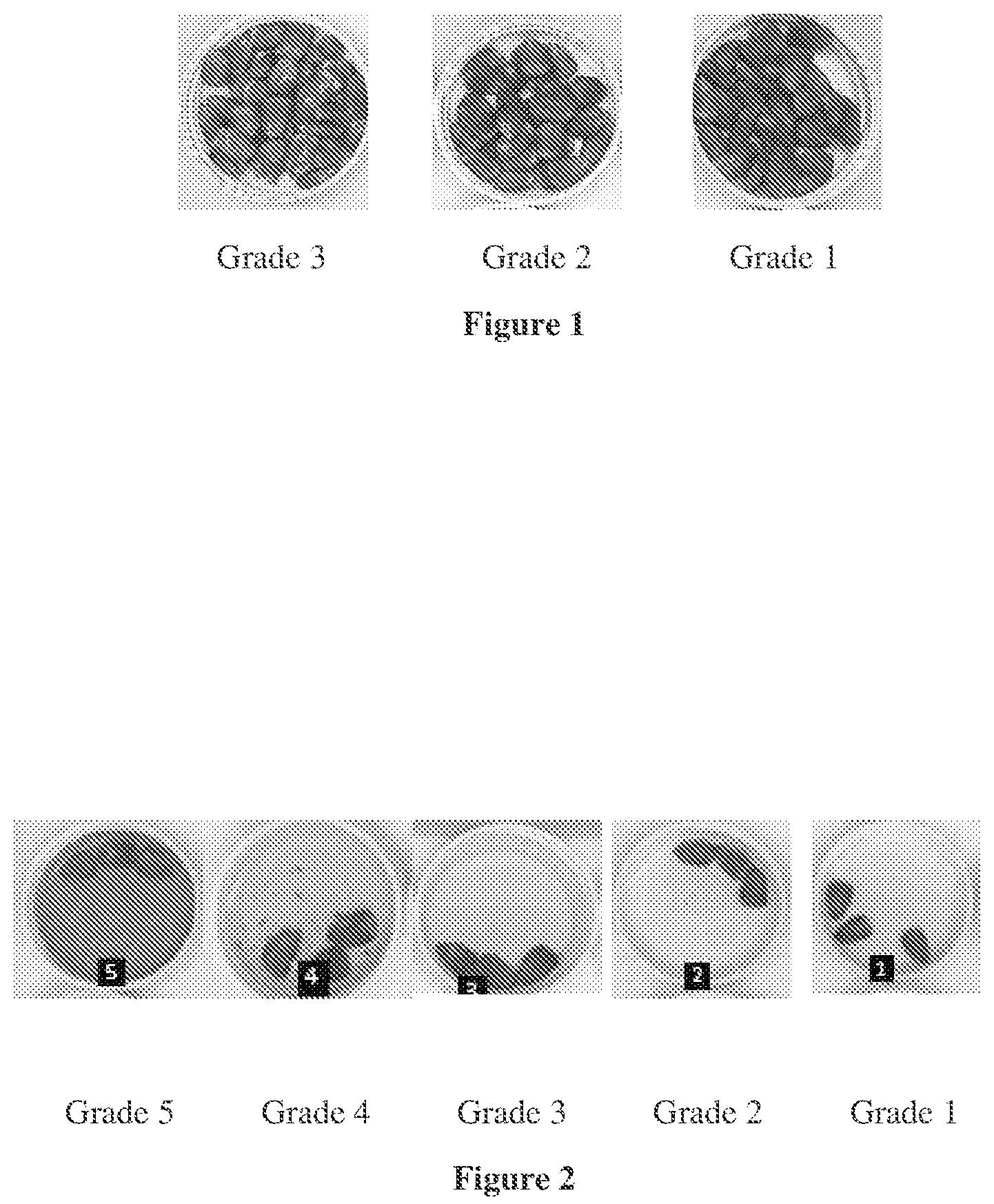 Patent US12317890 Figure 1 – Polar polyolefin dispersion based seed coating composition