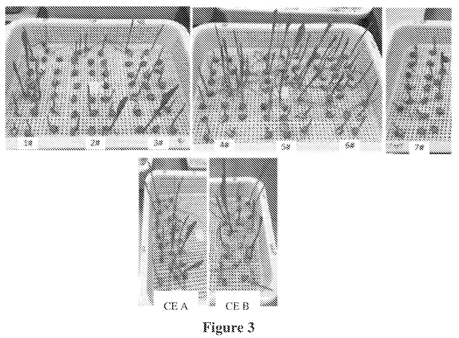 Patent US12317890 Figure 2 – Polar polyolefin dispersion based seed coating composition