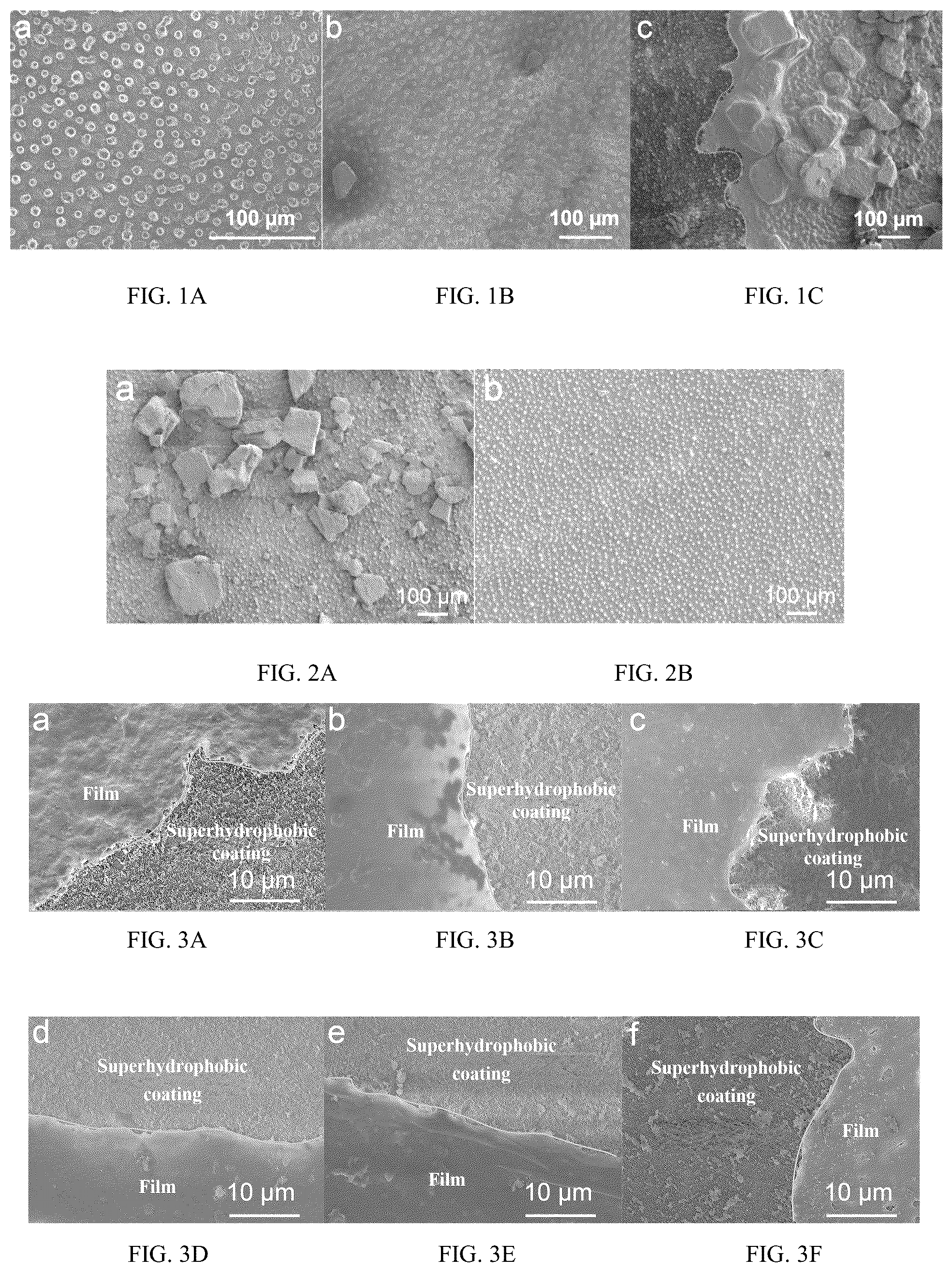 Patent US12317891 Figure 1 – Protein product capable of immobilizing target and being cleared as required