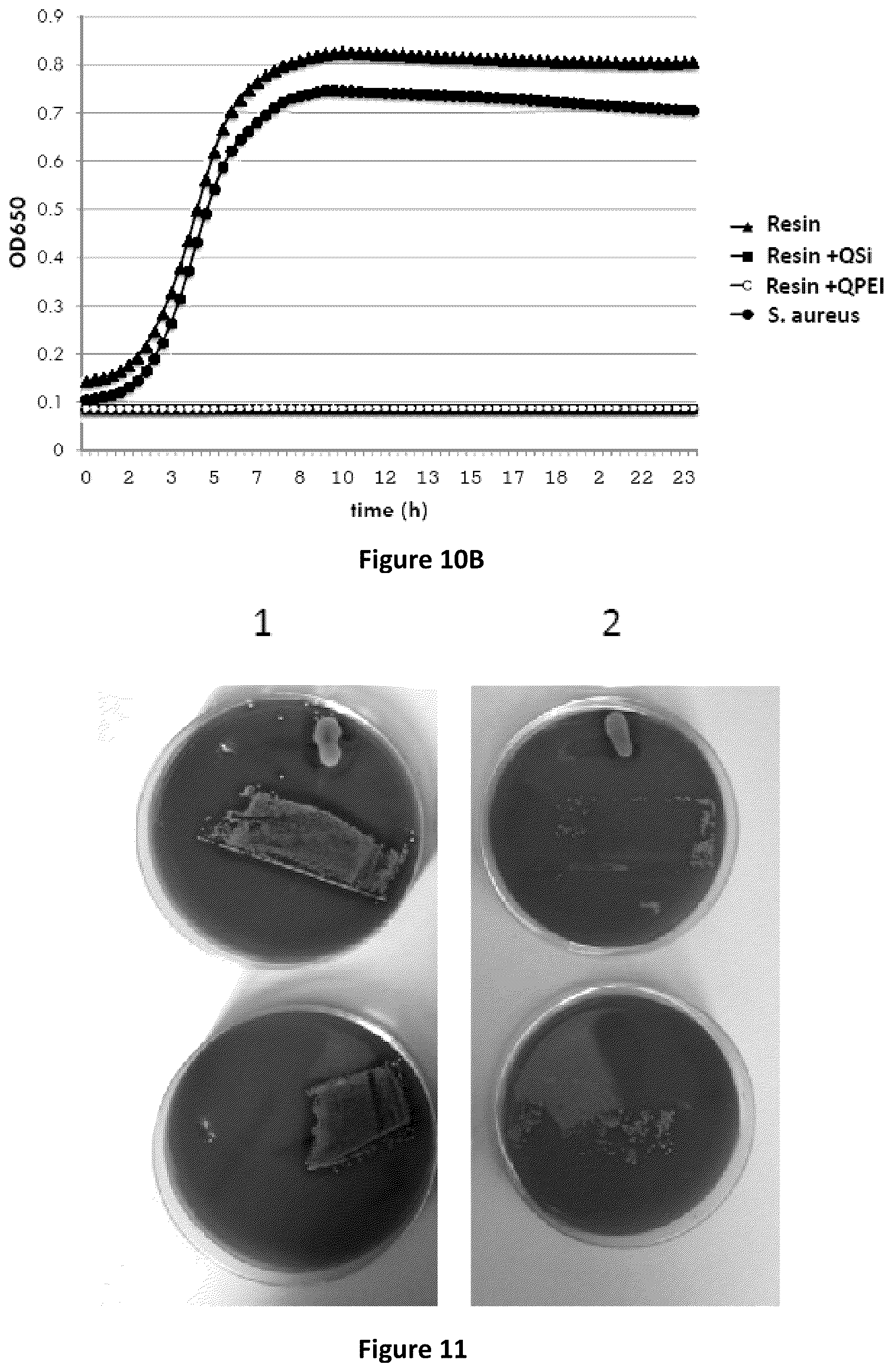 Patent US12317892 Figure 6 – Micro and nanoparticulate compositions comprising anti-microbially active groups