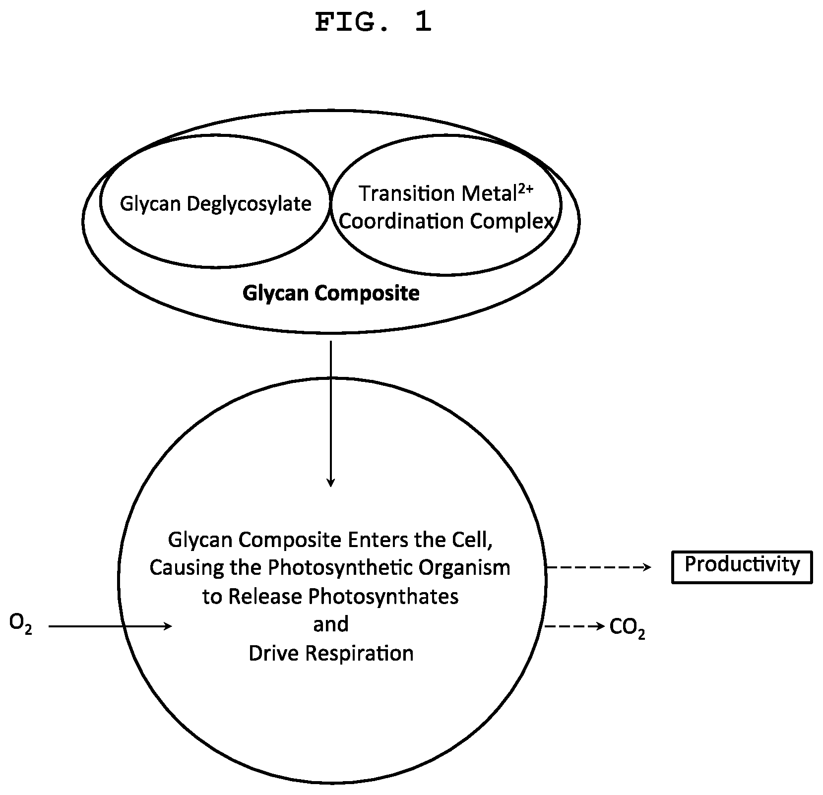 Patent US12317895 — Formulations and methods for treating photosynthetic organisms and enhancing qualities and quantities of yields with glycan composite formulations — Figure 1
