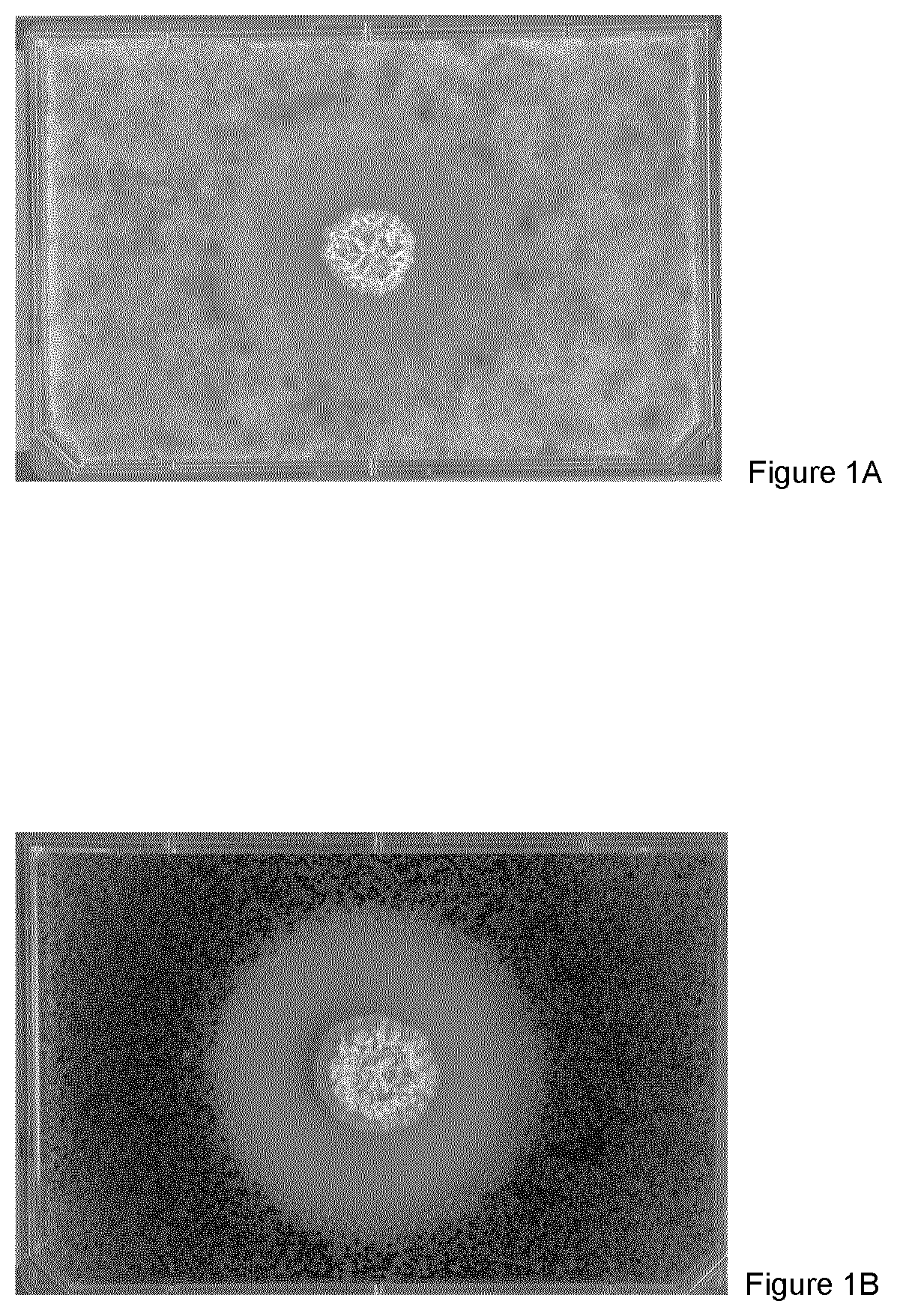 Patent US12317896 Figure 1 – Method of controlling fungi