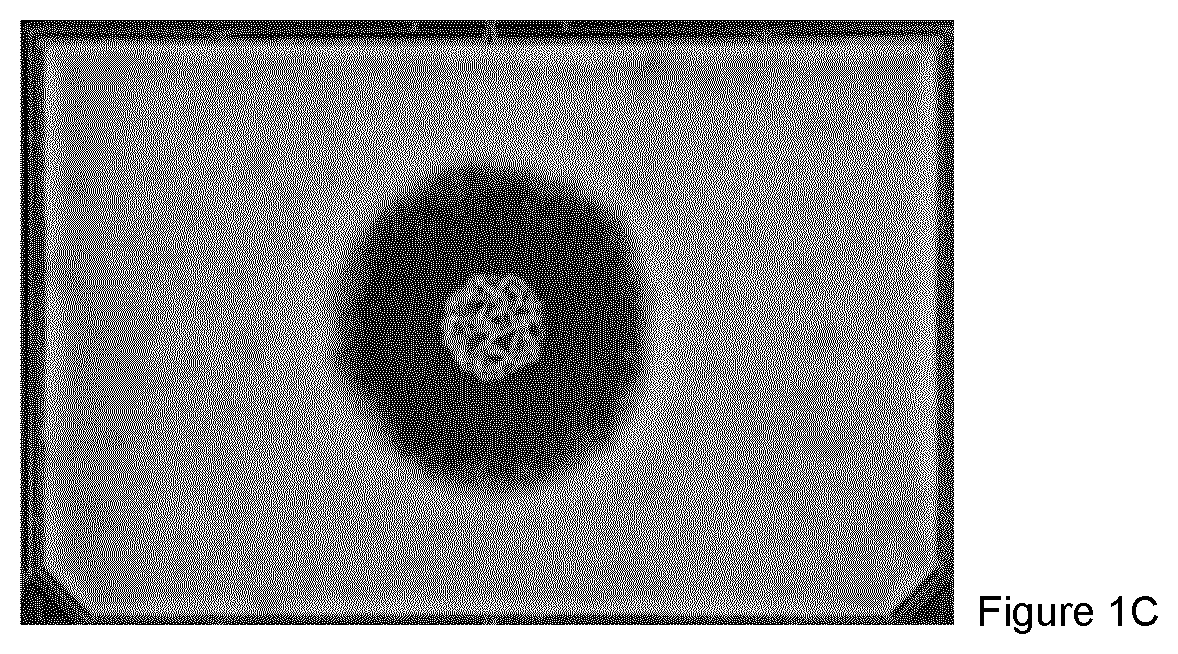 Patent US12317896 Figure 2 – Method of controlling fungi