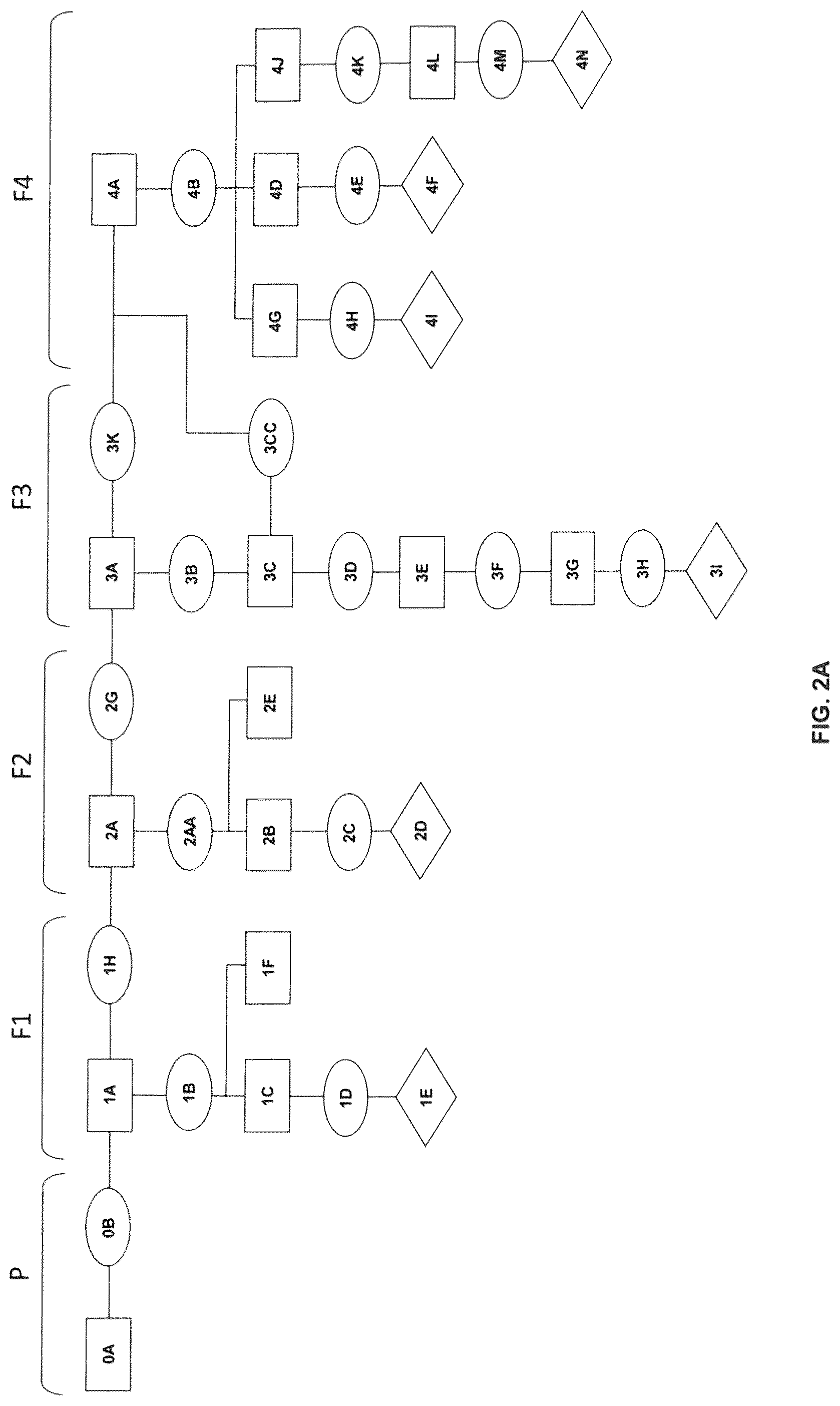 Patent US12317908 Figure 2 – Compositions comprising Fabaceae family plant components, processes of preparation and uses thereof