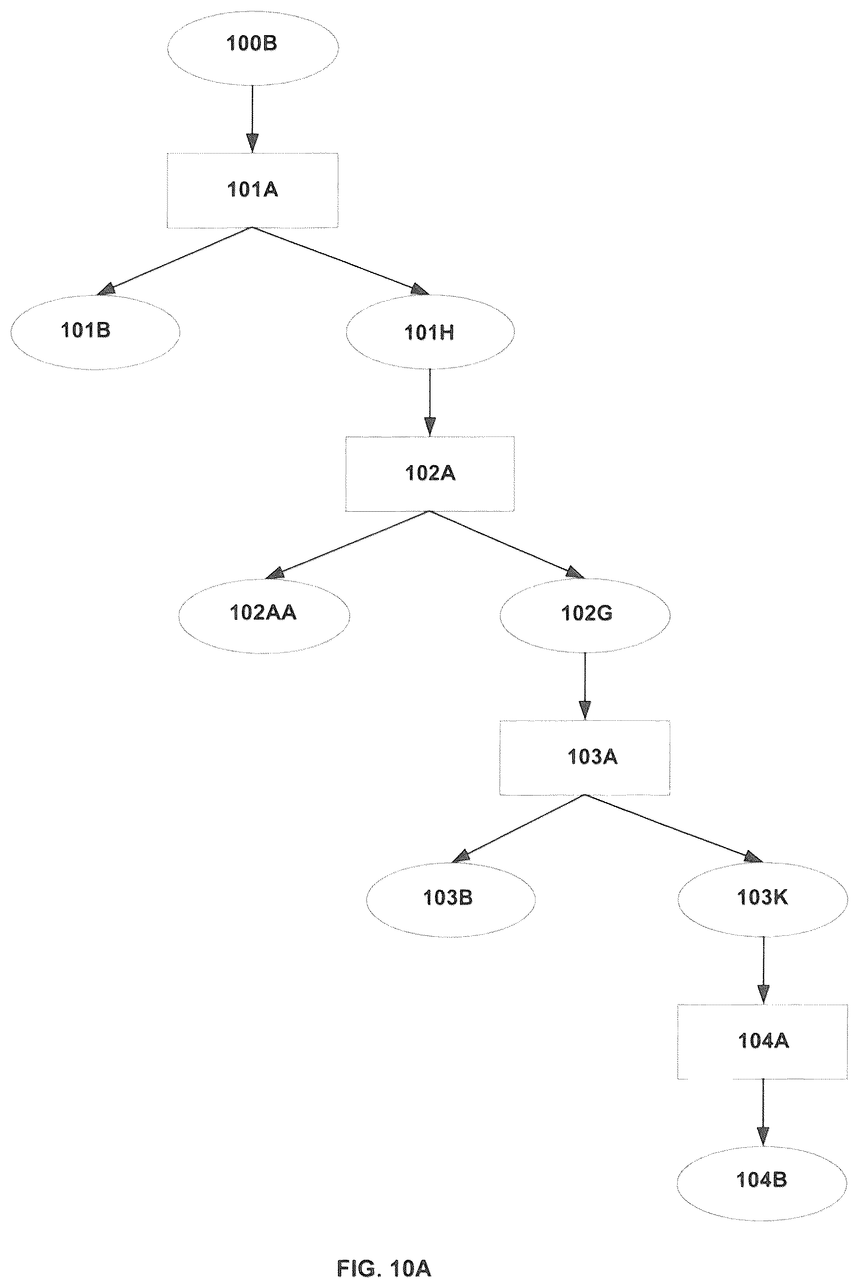 Patent US12317908 Figure 11 – Compositions comprising Fabaceae family plant components, processes of preparation and uses thereof