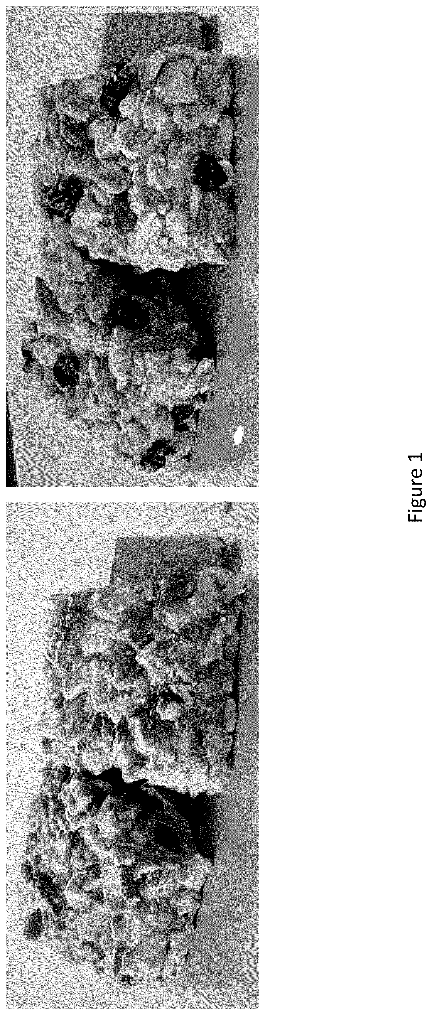 Patent US12317910 Figure 1 – Shelf-stable food composition