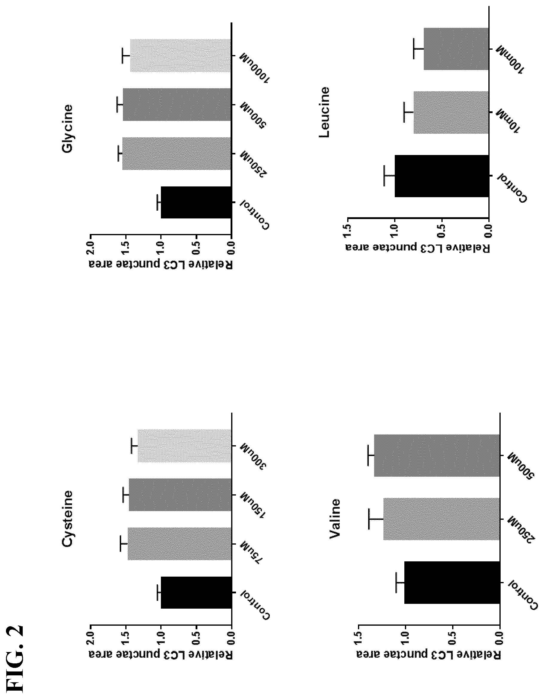 Patent US12317914 Figure 2 – Compositions and methods using one or more autophagy-inducing amino acids to potentiate musculoskeletal effect of one or more anabolic amino acids
