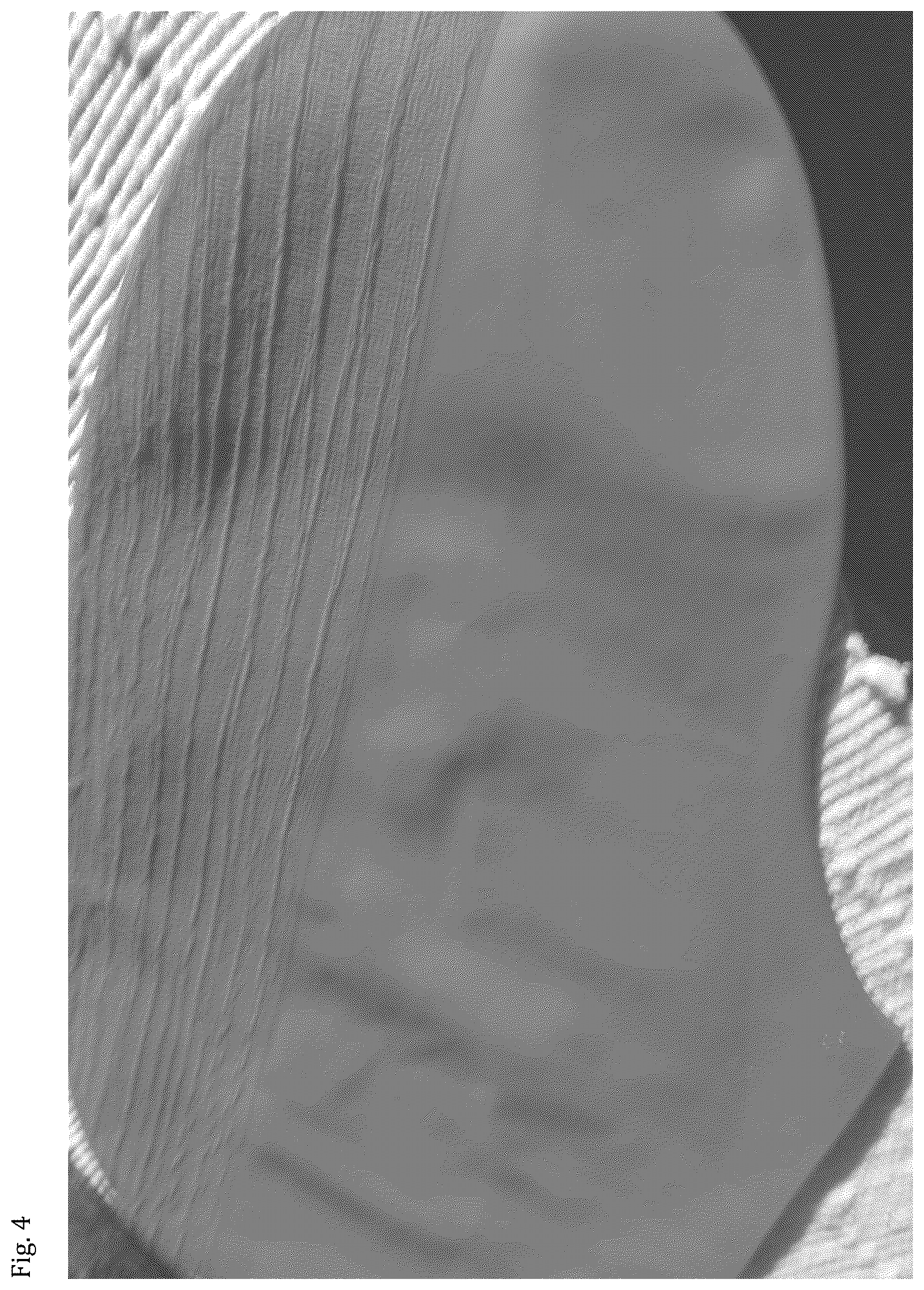 Patent US12317956 Figure 4 – Slip resistant shoe cover