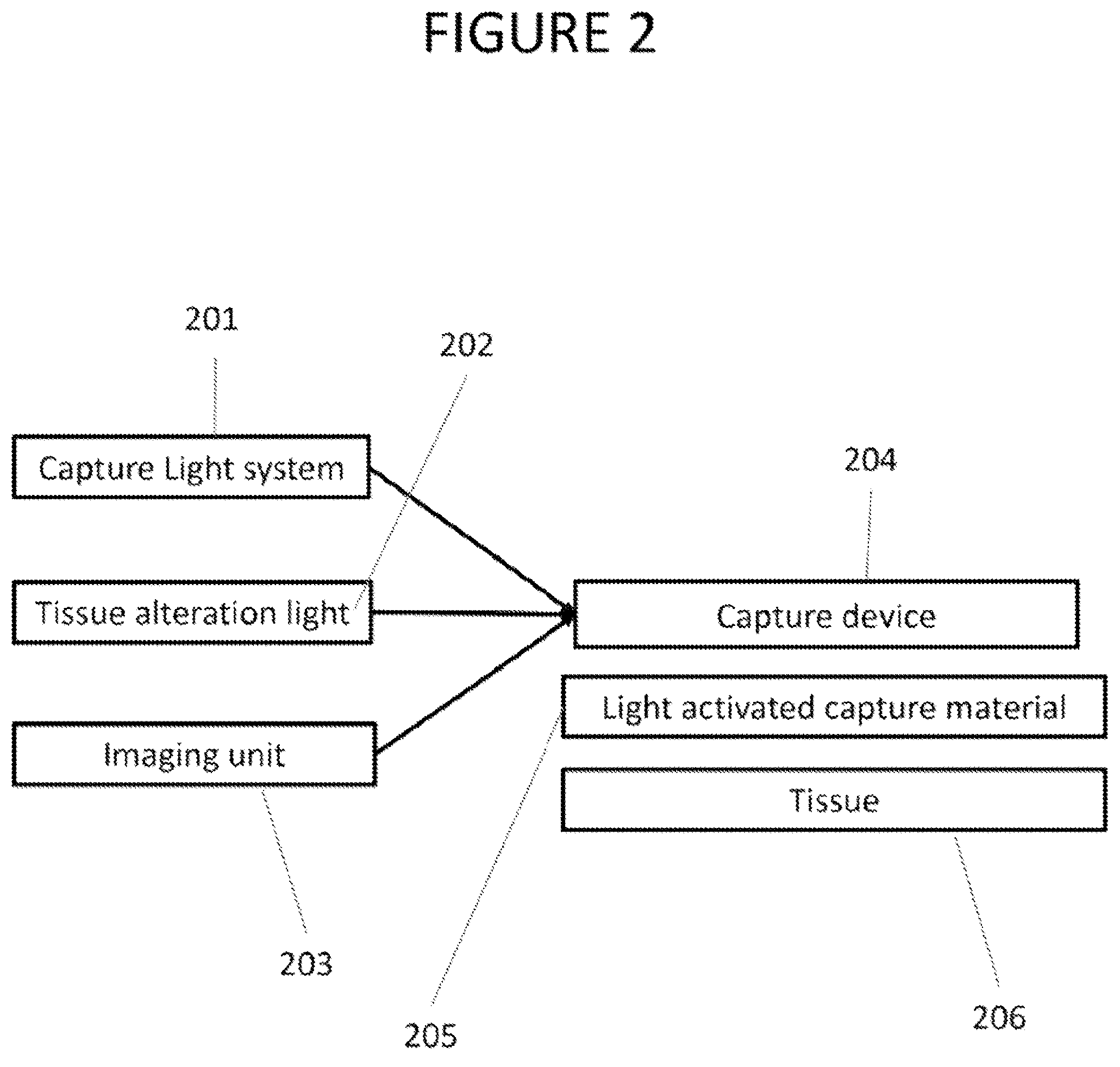 Patent US12318077 Figure 2 – Apparatus, method and computer-accessible medium for obtaining tissue samples
