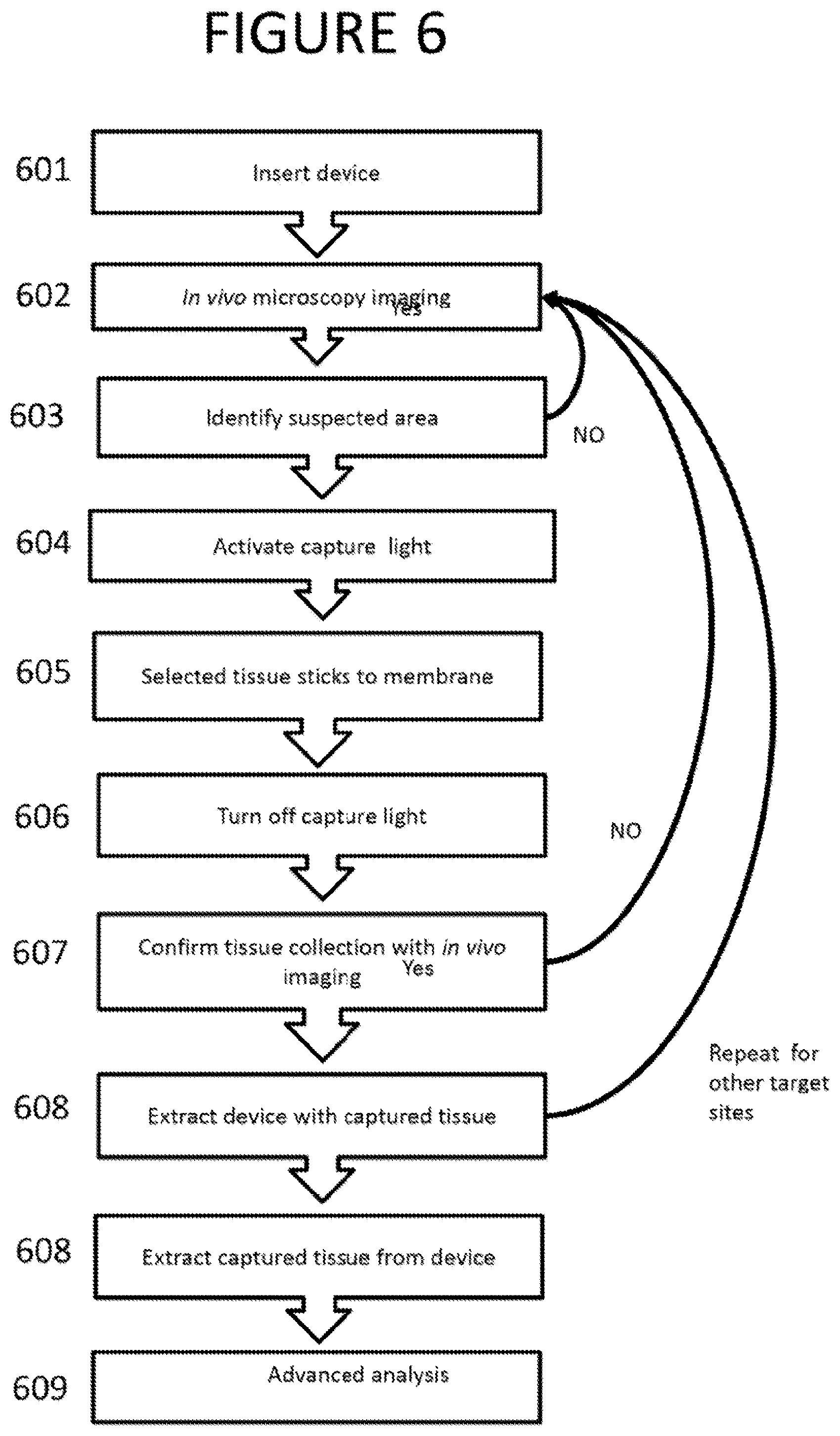 Patent US12318077 Figure 6 – Apparatus, method and computer-accessible medium for obtaining tissue samples