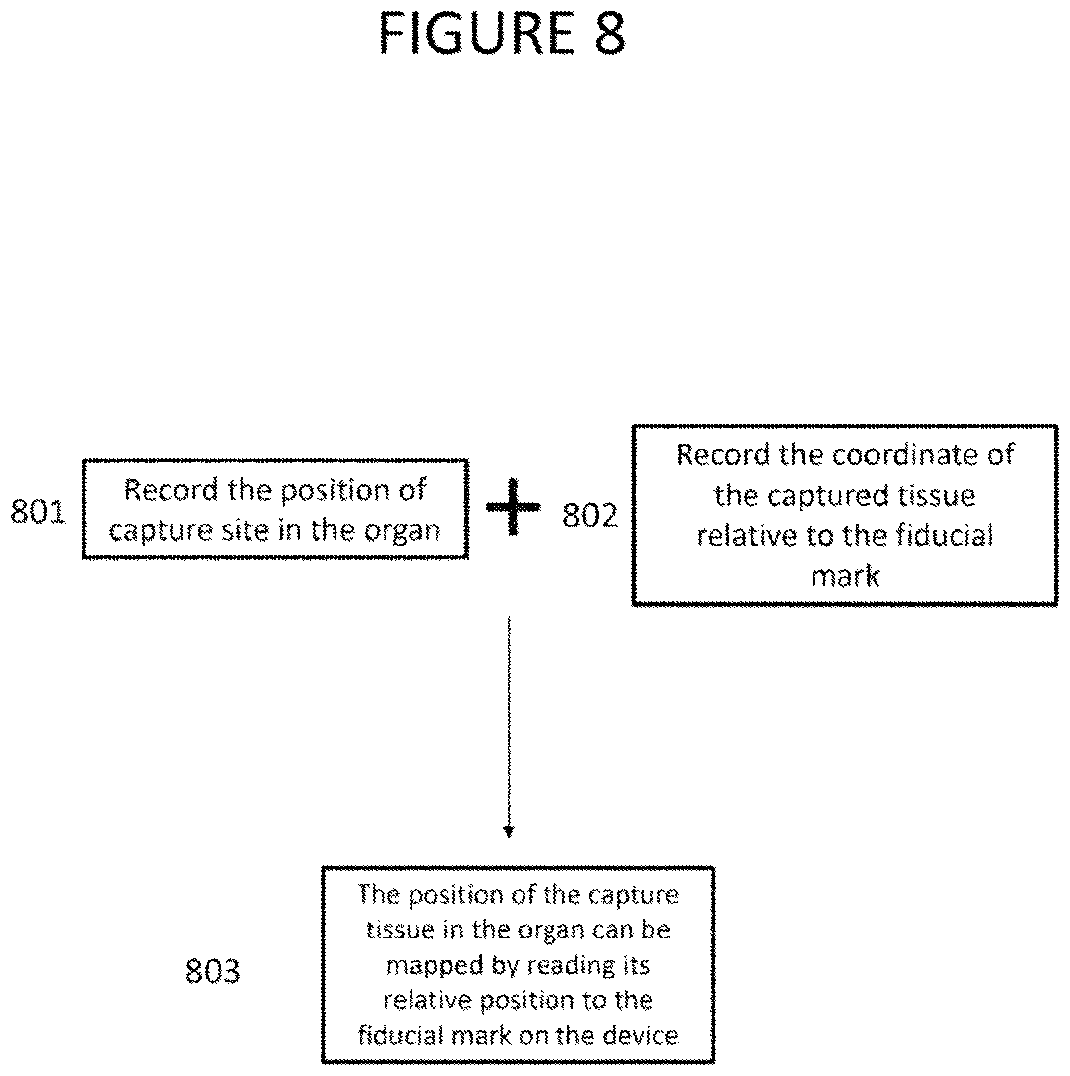 Patent US12318077 Figure 8 – Apparatus, method and computer-accessible medium for obtaining tissue samples
