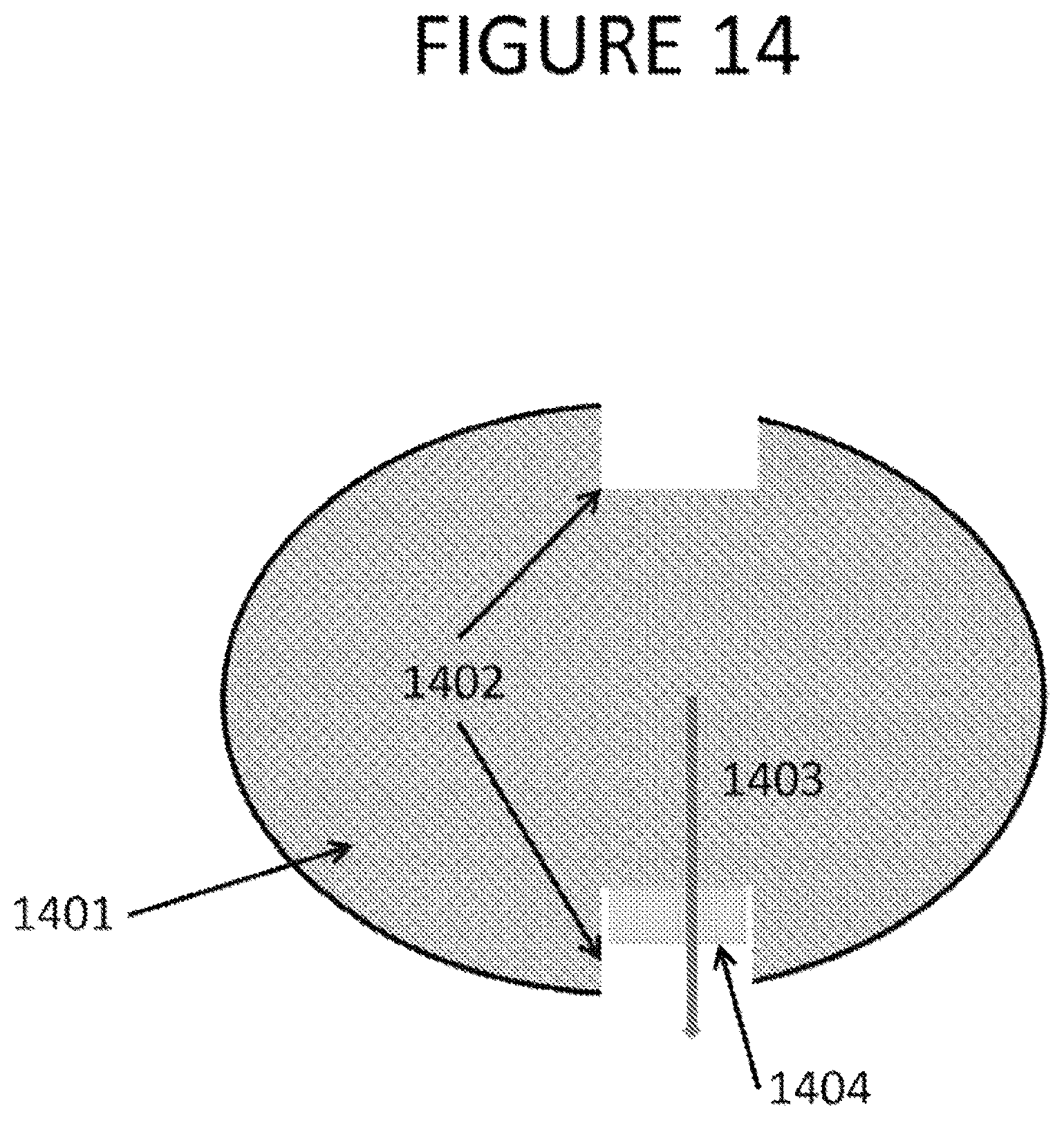 Patent US12318077 Figure 14 – Apparatus, method and computer-accessible medium for obtaining tissue samples