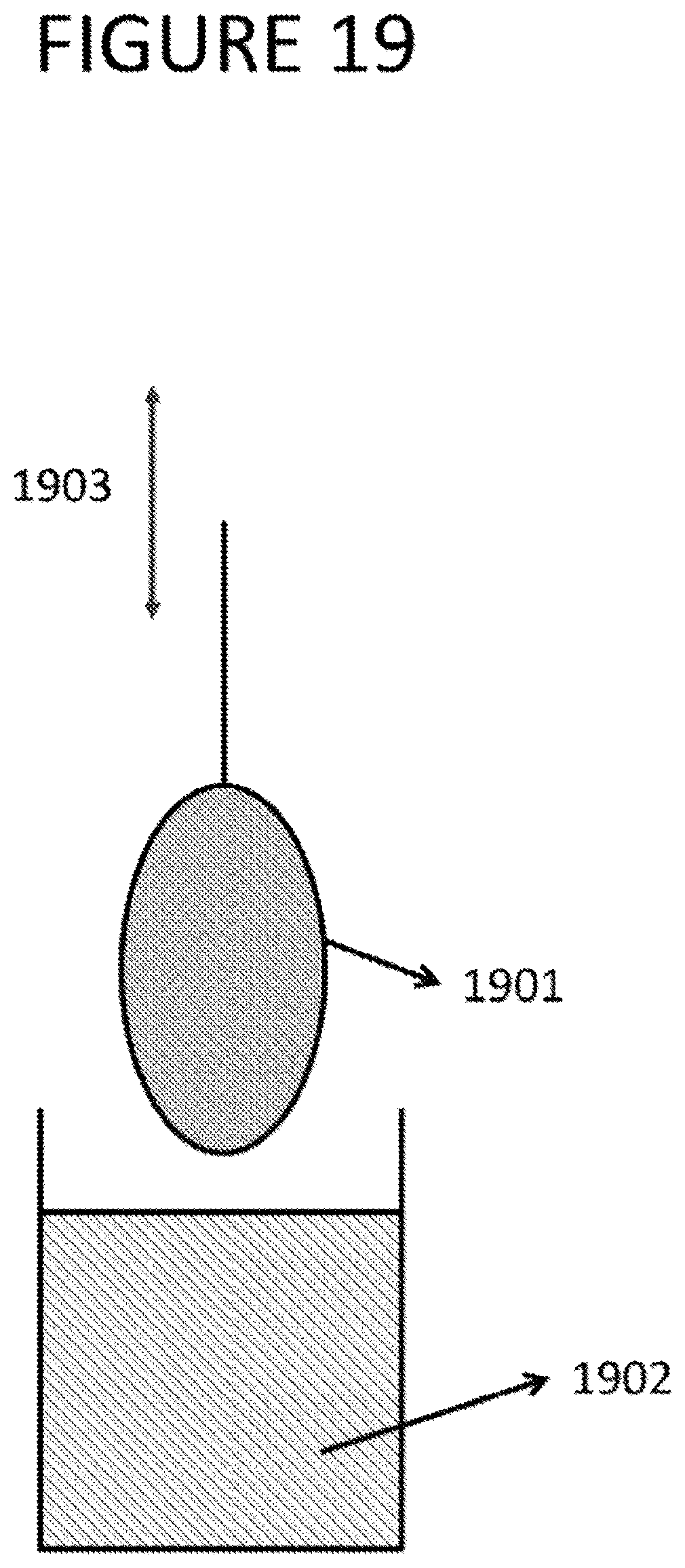 Patent US12318077 Figure 19 – Apparatus, method and computer-accessible medium for obtaining tissue samples