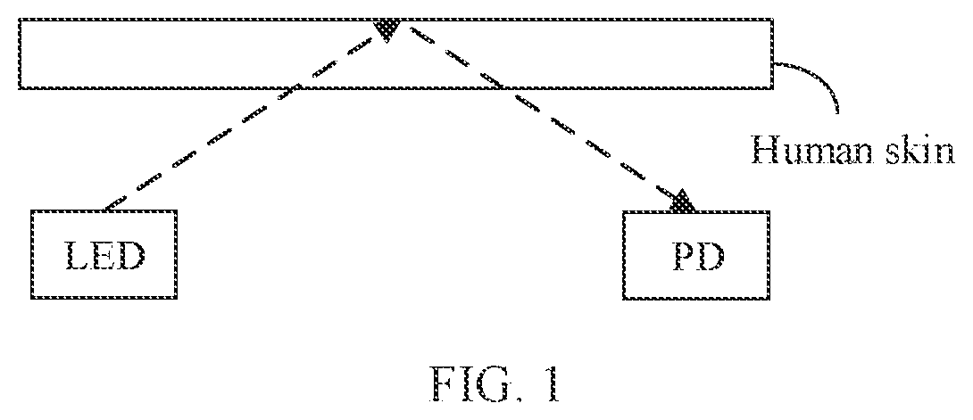 Patent US12318177 — Terminal based on photo plethysmo graph PPG — Figure 1