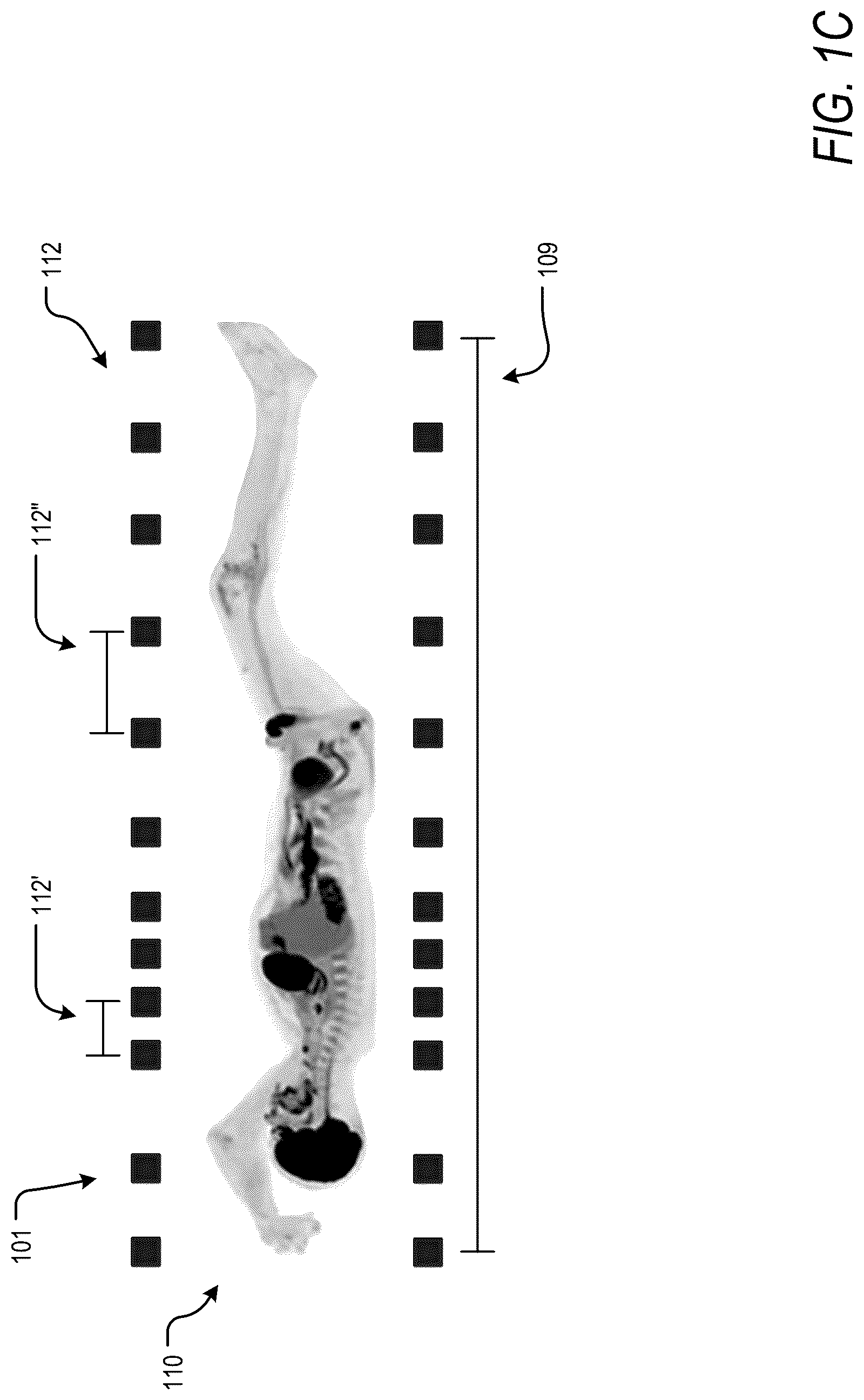 Patent US12318232 Figure 2 – Pet reconstruction for adjustable pet system