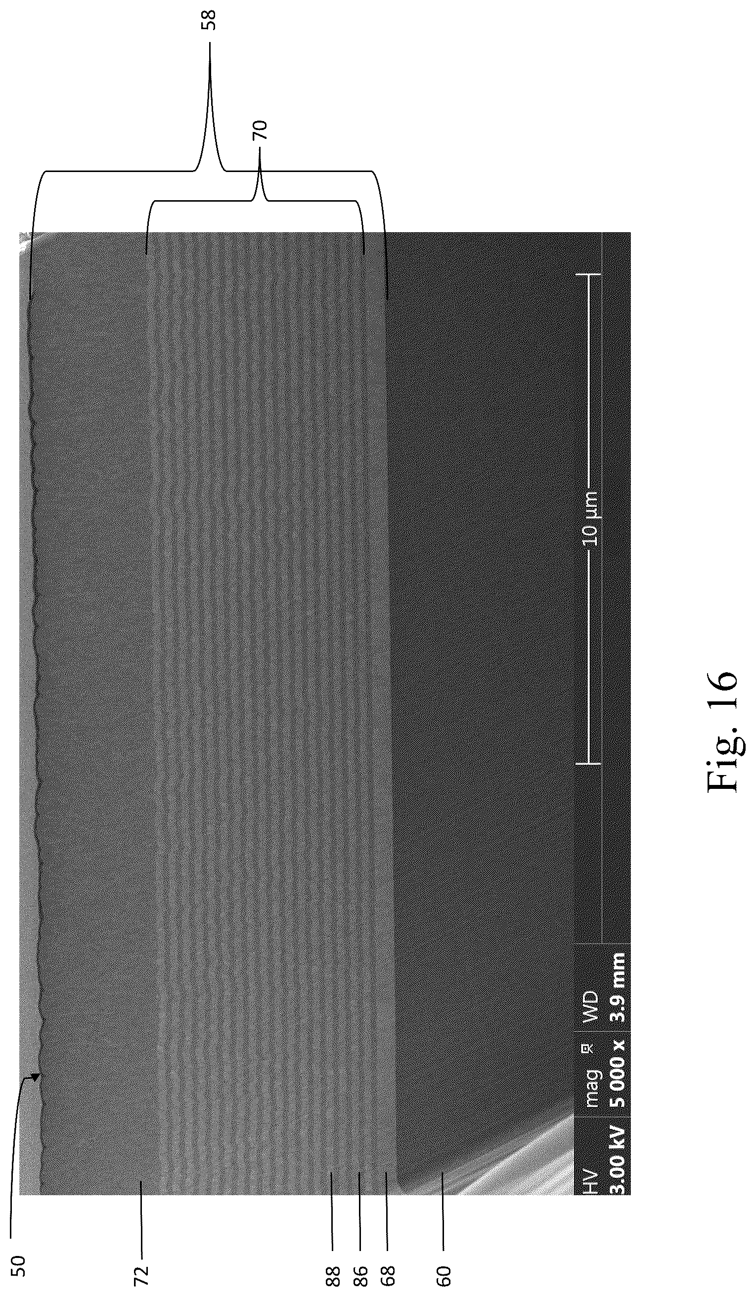 Patent US12318299 Figure 12 – Coated implant and method of making the same