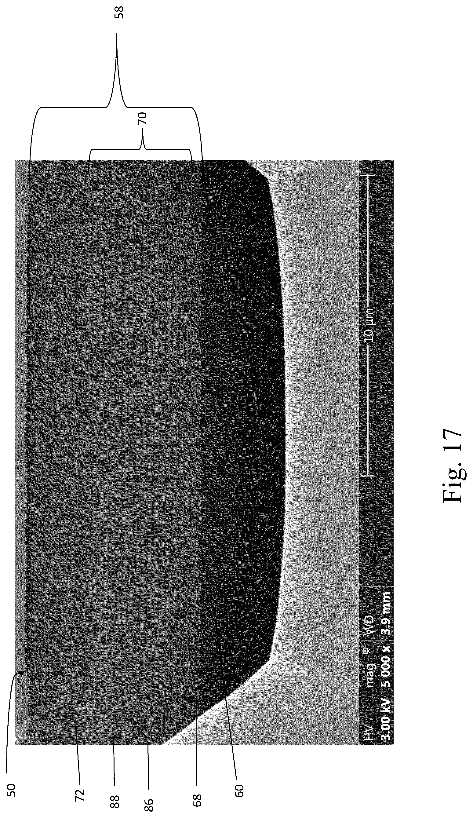 Patent US12318299 Figure 13 – Coated implant and method of making the same