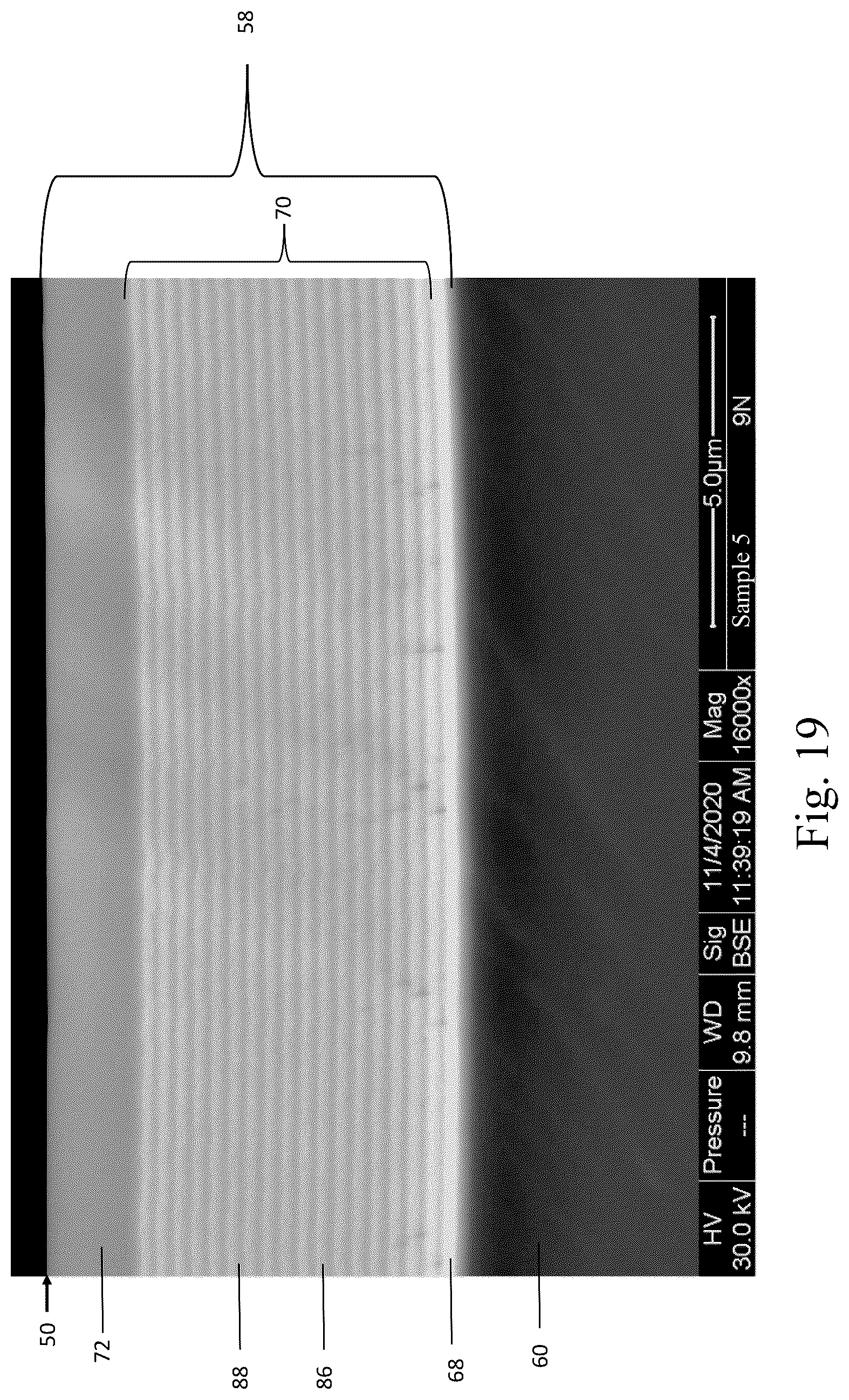 Patent US12318299 Figure 15 – Coated implant and method of making the same