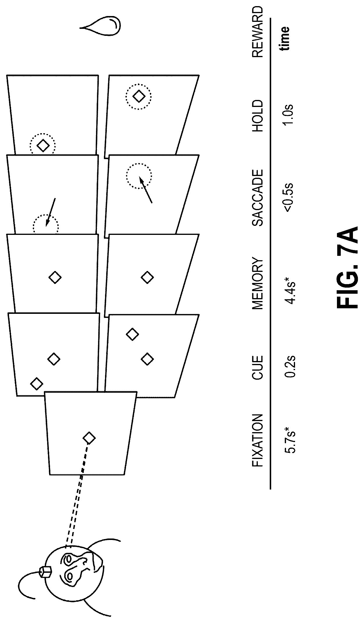 Patent US12318315 Figure 8 – Decoding movement intention using ultrasound neuroimaging