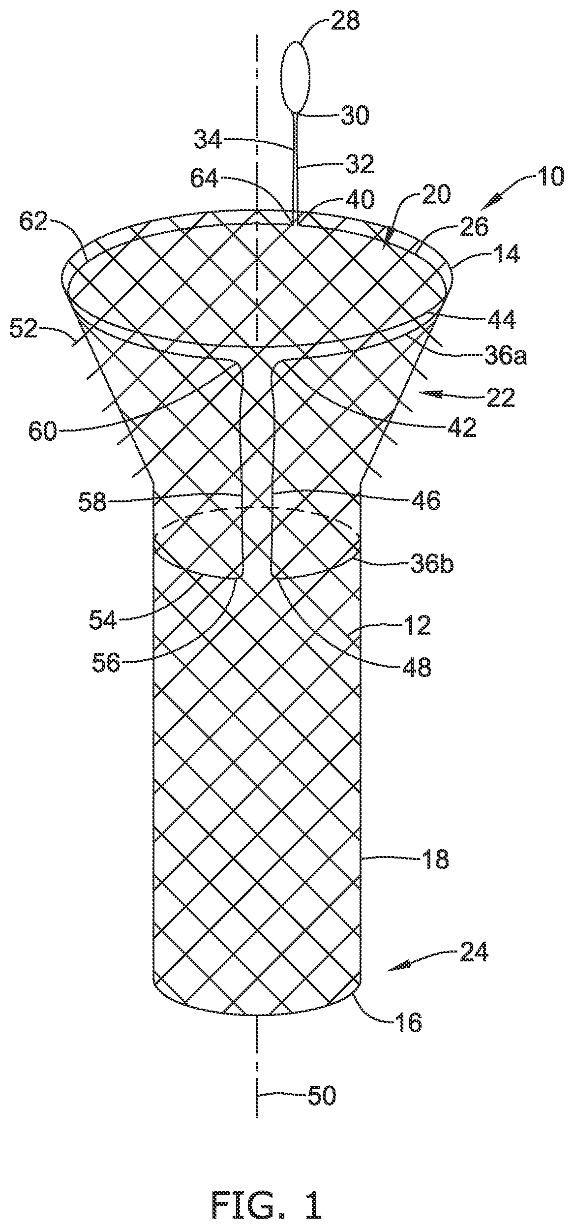 Patent US12318316 Figure 1 – Repositionable and removable stents