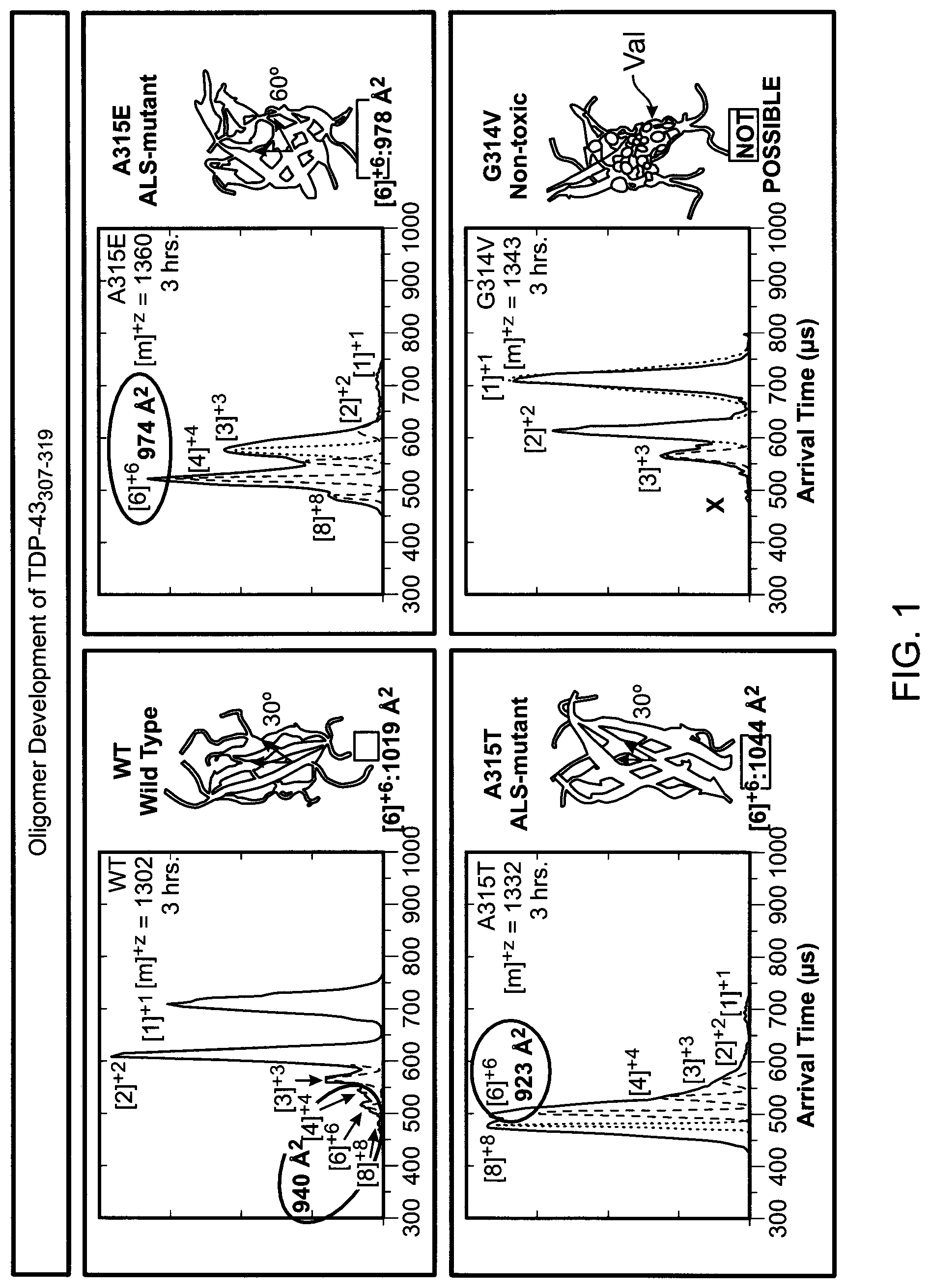 Patent US12318357 Figure 1 – Small molecule drugs and related methods for treatment of diseases related to TDP-43, alpha-synuclein, huntingtin's protein and tau protein oligomer formation