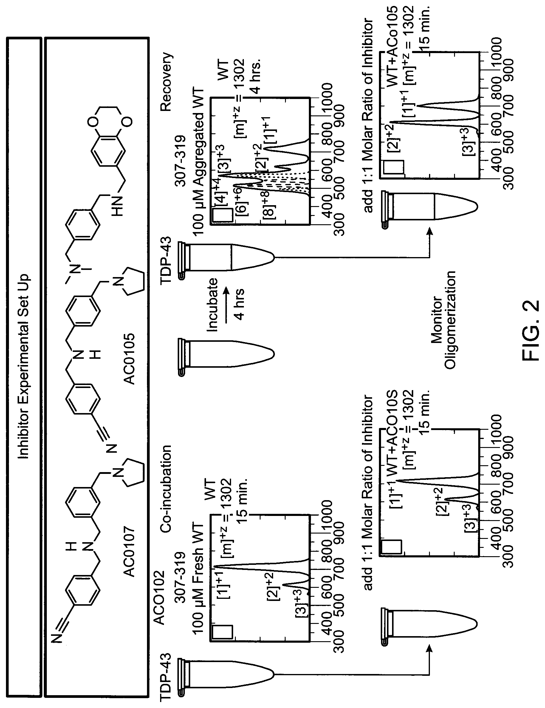 Patent US12318357 Figure 2 – Small molecule drugs and related methods for treatment of diseases related to TDP-43, alpha-synuclein, huntingtin's protein and tau protein oligomer formation