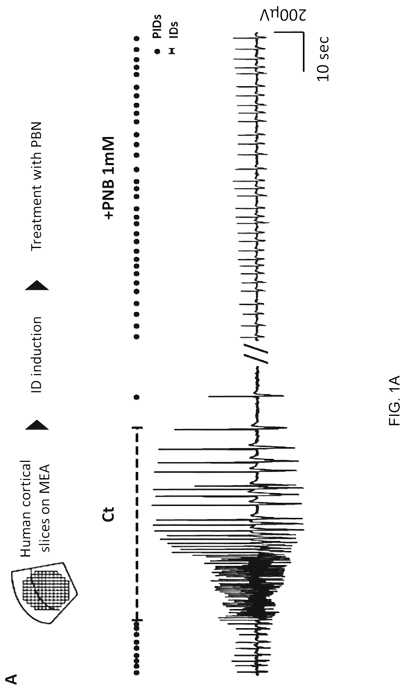 Patent US12318358 Figure 1 – Probenecid for use in treating epileptic diseases, disorders or conditions