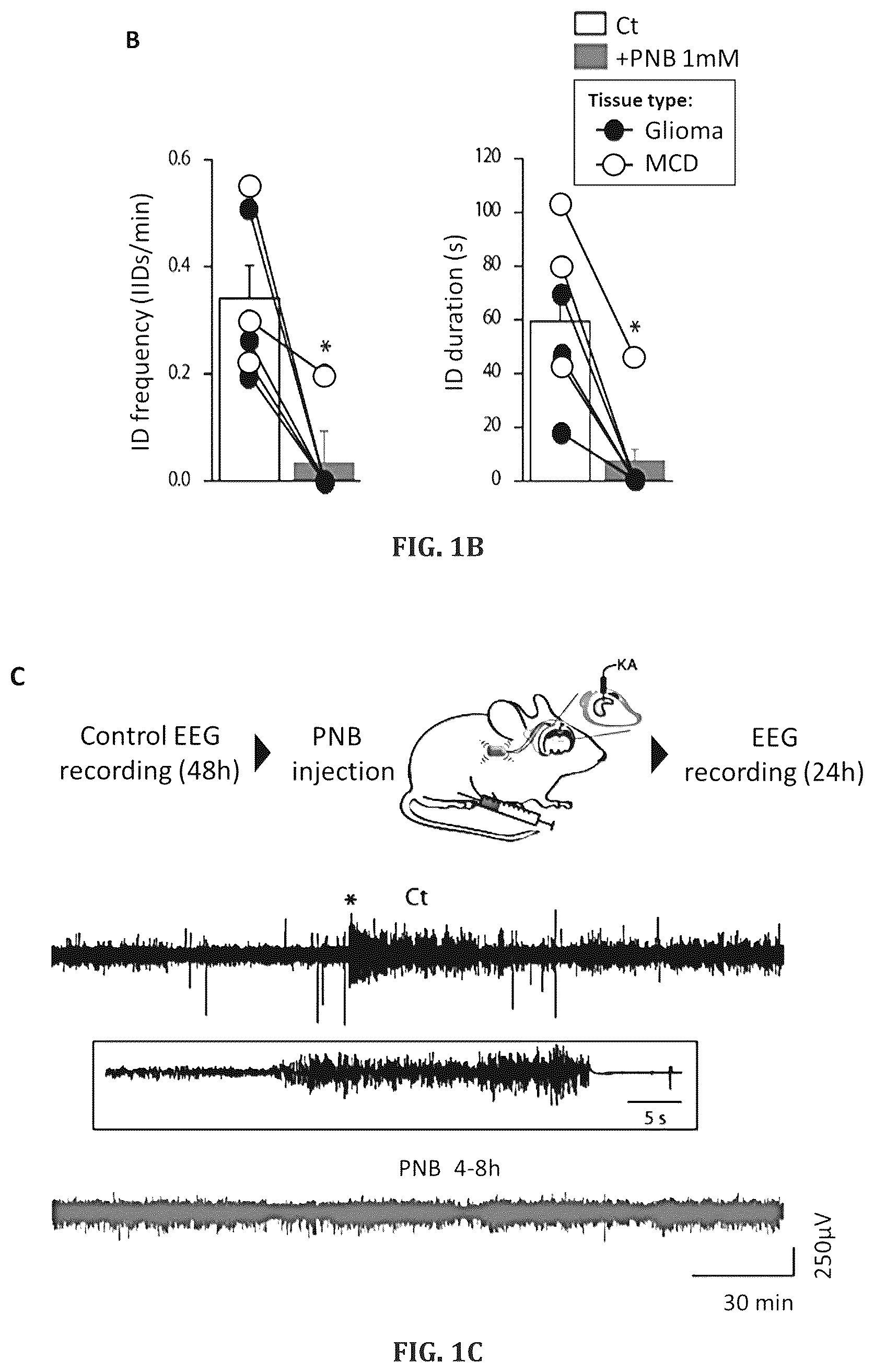 Patent US12318358 Figure 2 – Probenecid for use in treating epileptic diseases, disorders or conditions