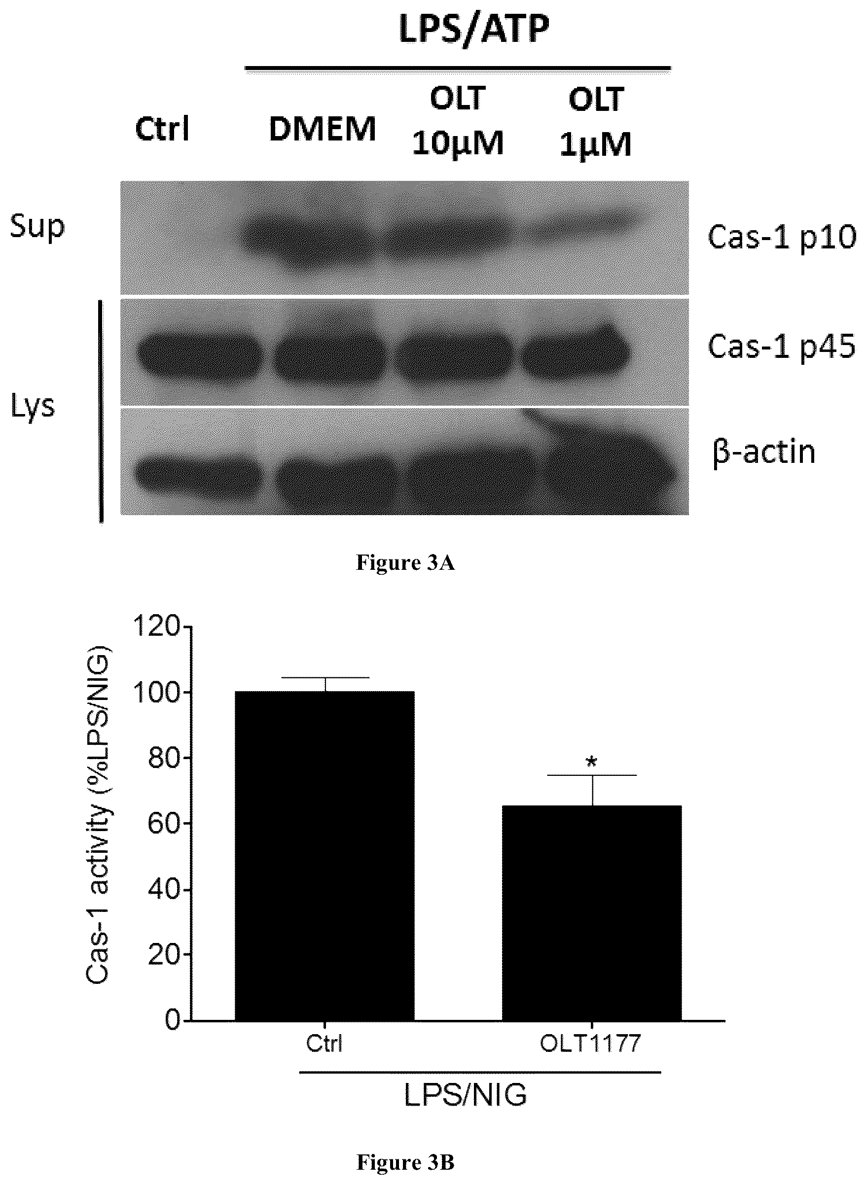 Patent US12318361 Figure 2 – Methods for treating cardiovascular diseases