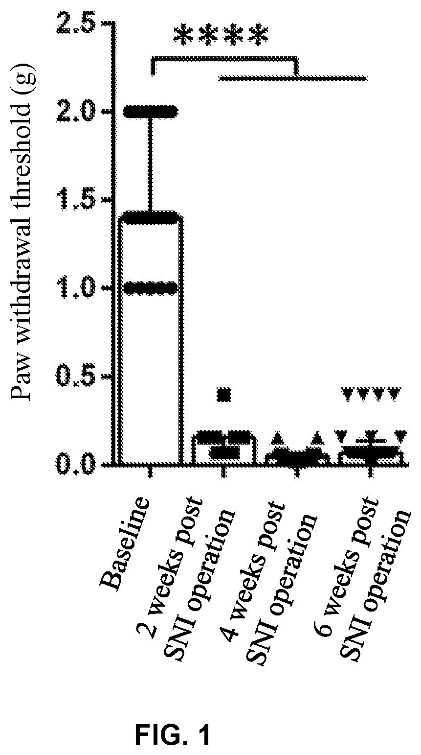Patent US12318369 Figure 1 – Analgesic and antipruritic pharmacertical composition and application thereof
