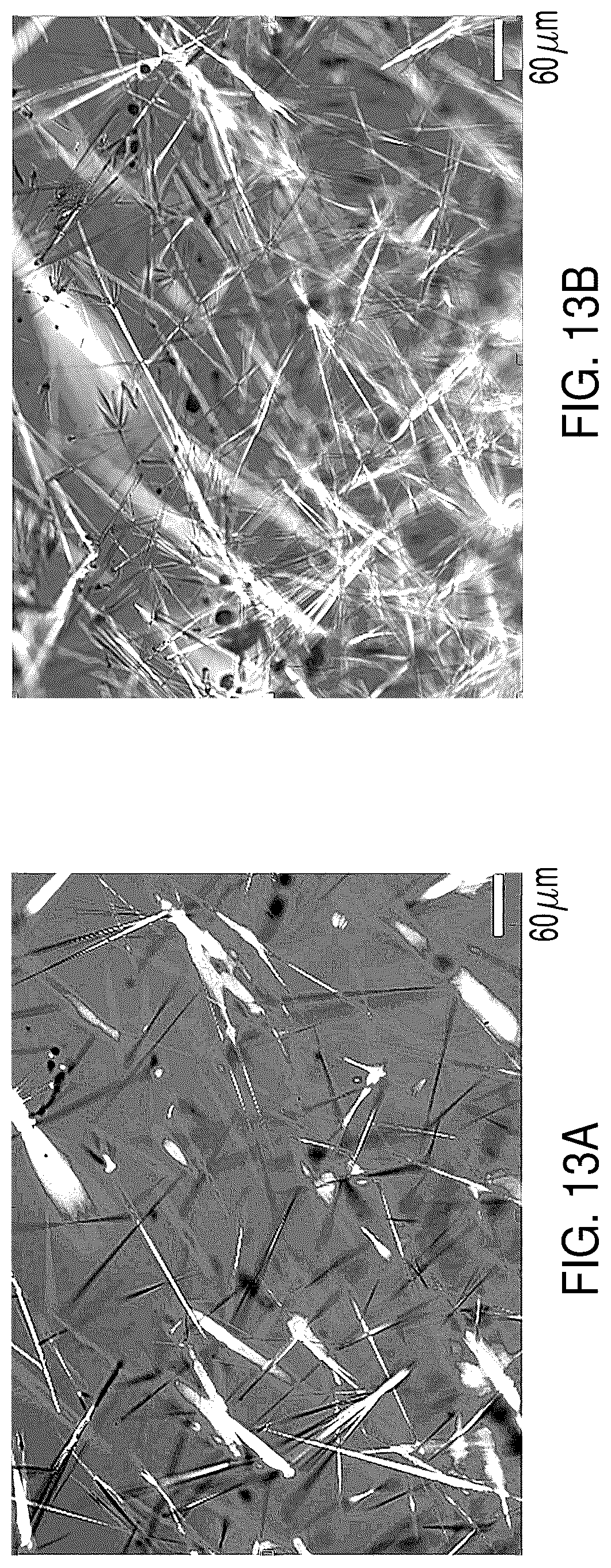 Patent US12318370 Figure 19 – Processes for preparing solid state forms