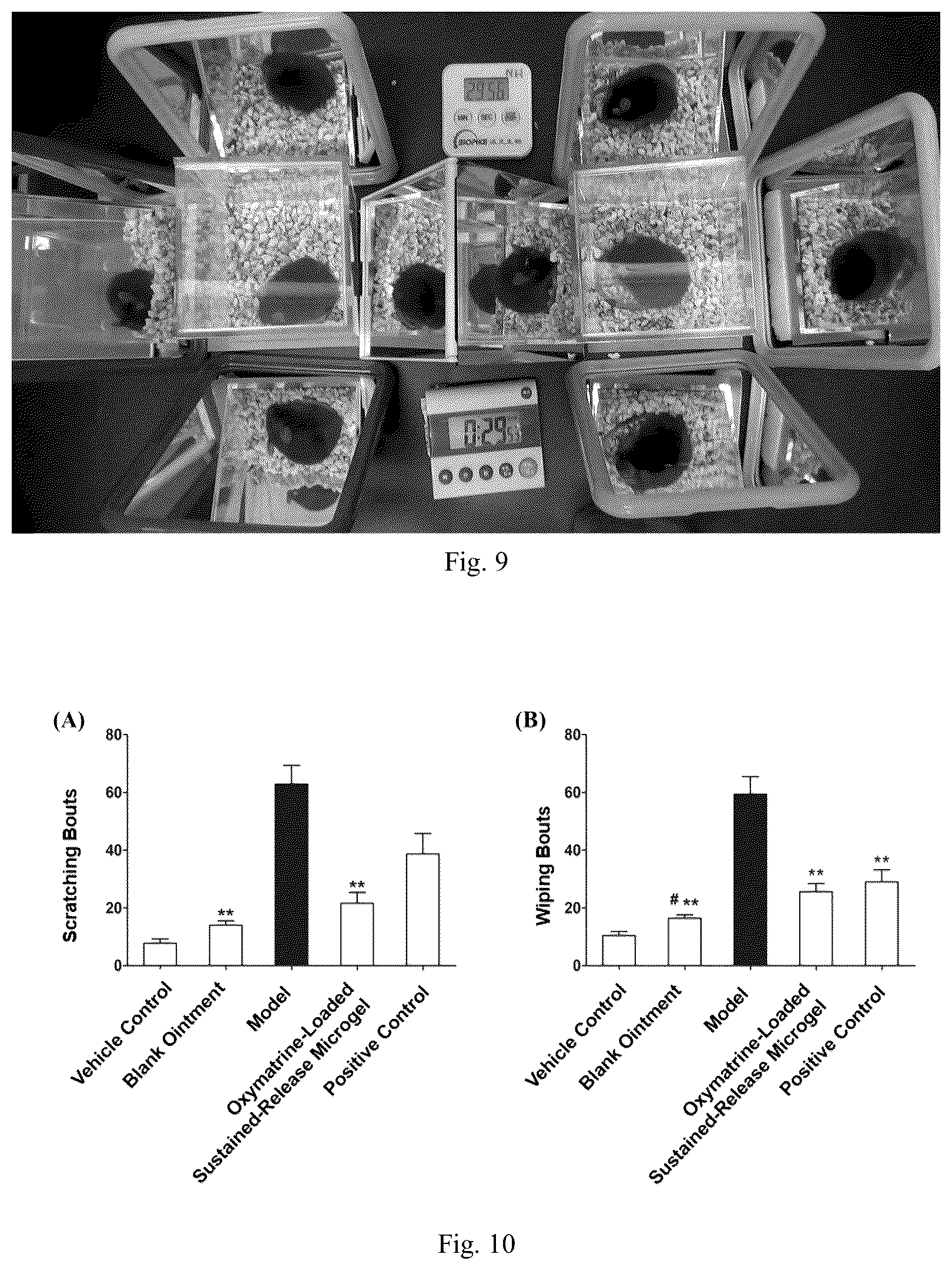 Patent US12318371 Figure 5 – Sustained-release microgel ointments with high drug loading and preparation methods and uses thereof