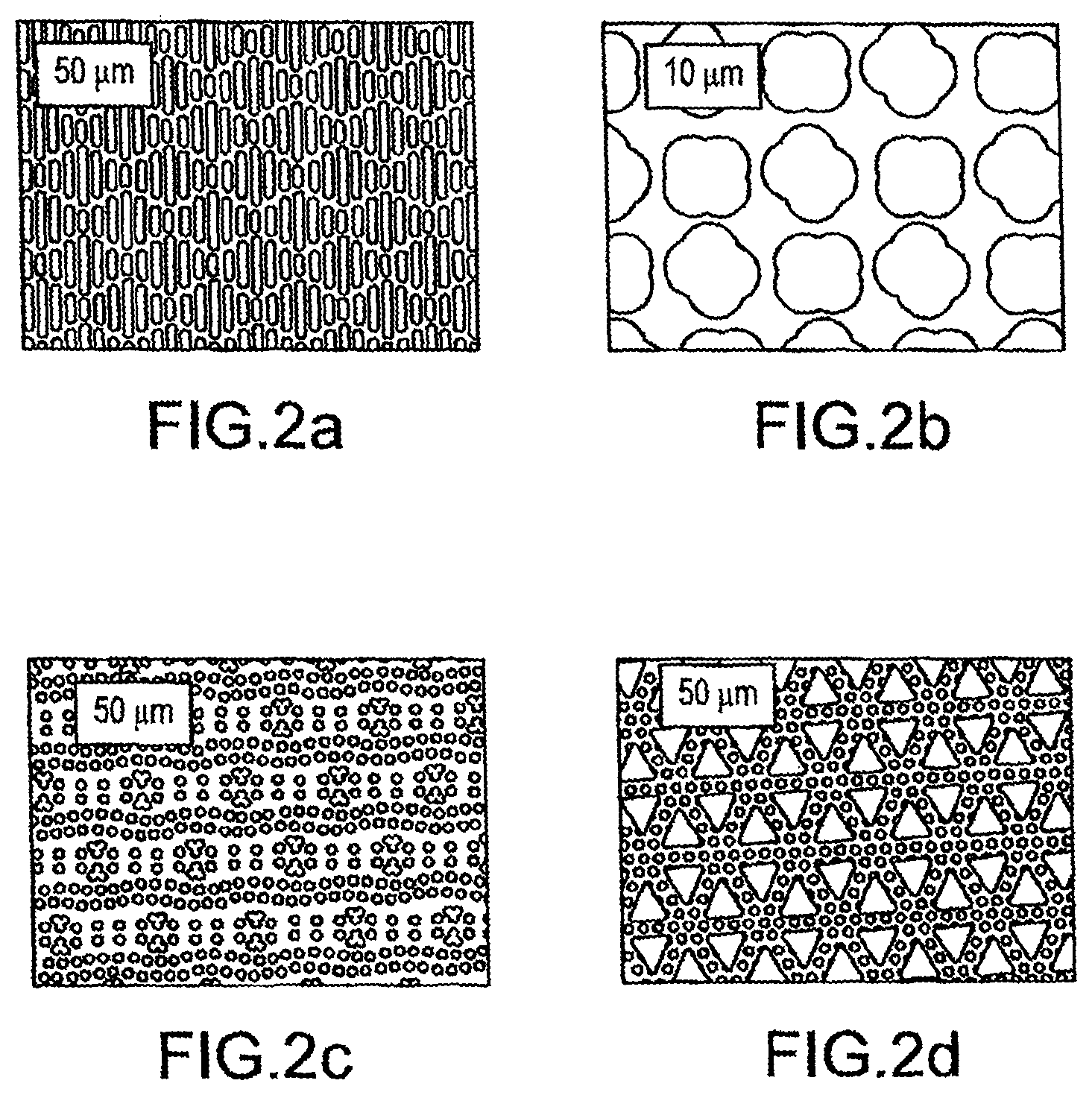 Patent US12318377 Figure 2 – Method and system for reducing the likelihood of a porphyromonas gingivalis infection in a human being