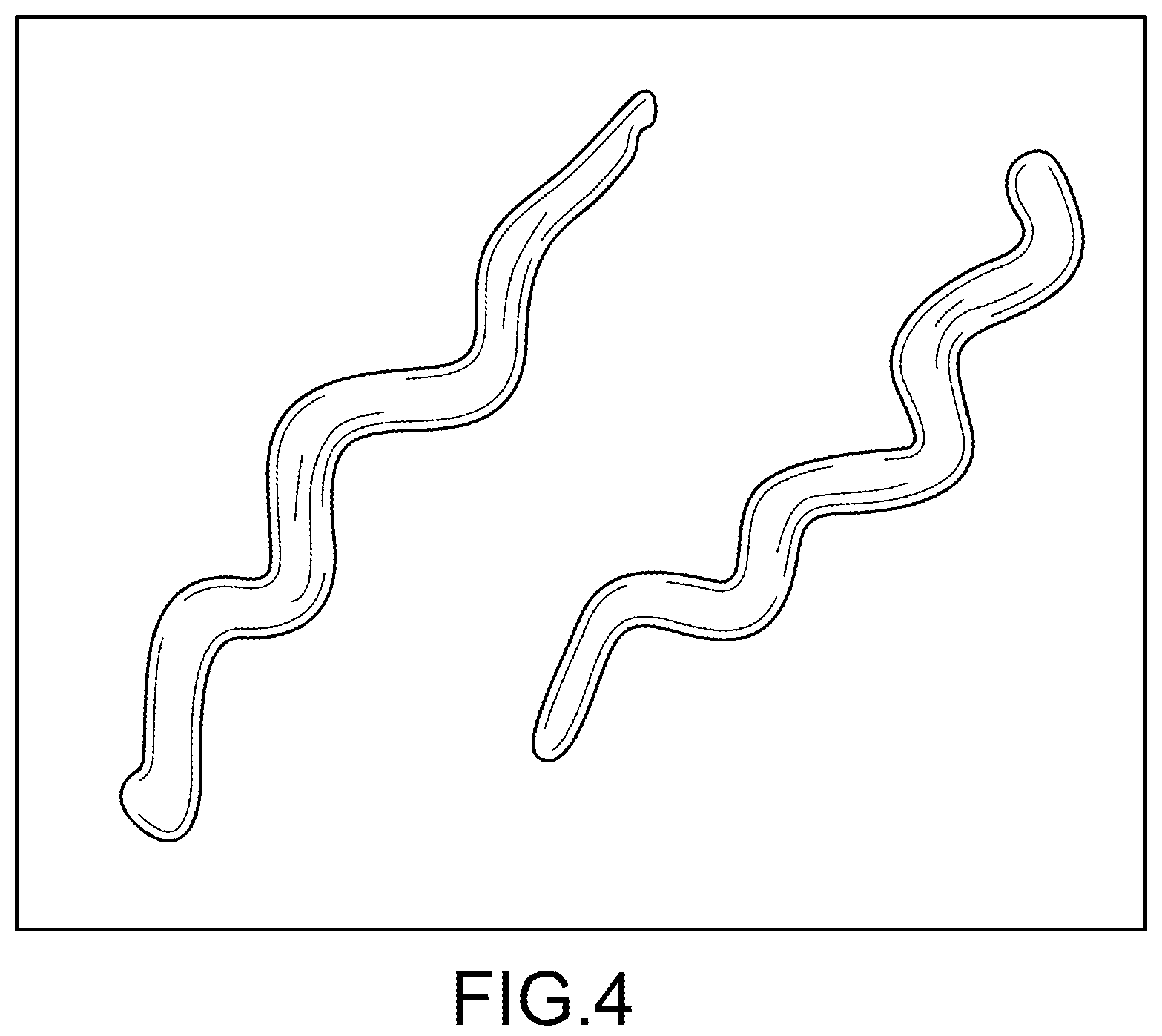Patent US12318377 Figure 4 – Method and system for reducing the likelihood of a porphyromonas gingivalis infection in a human being