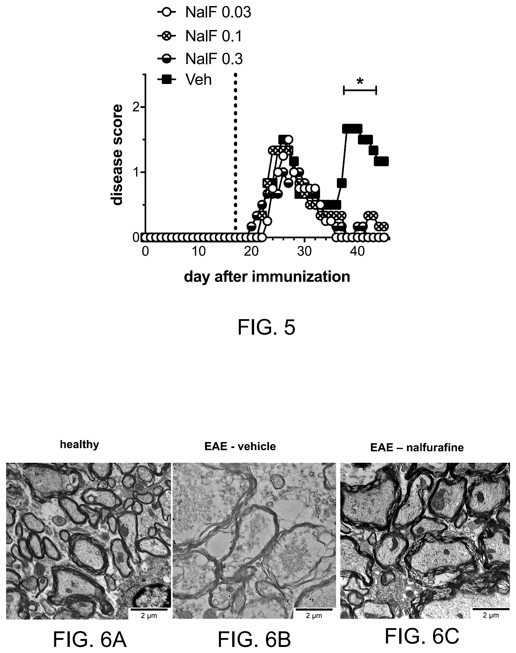 Patent US12318380 Figure 5 – Treatment of demyelinating diseases