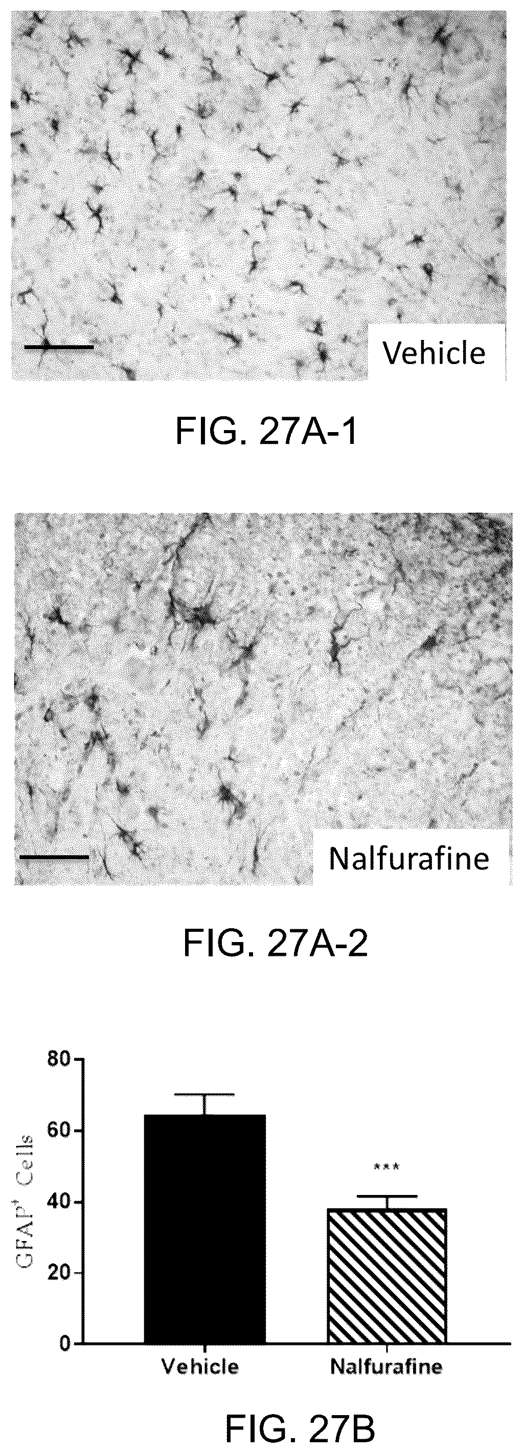 Patent US12318380 Figure 19 – Treatment of demyelinating diseases