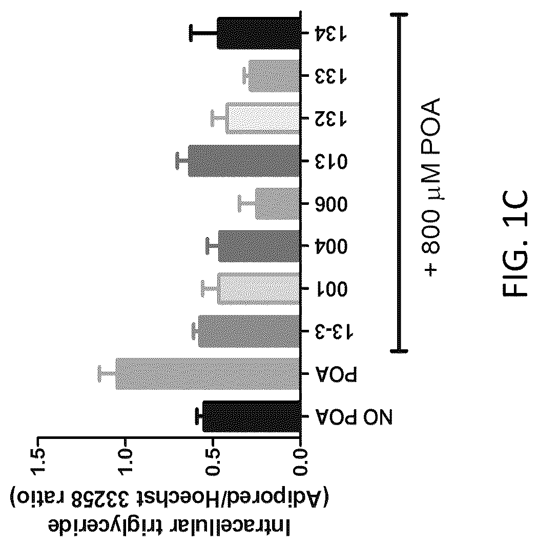 Patent US12318381 Figure 2 – Treatment for non-alcoholic fatty liver disease