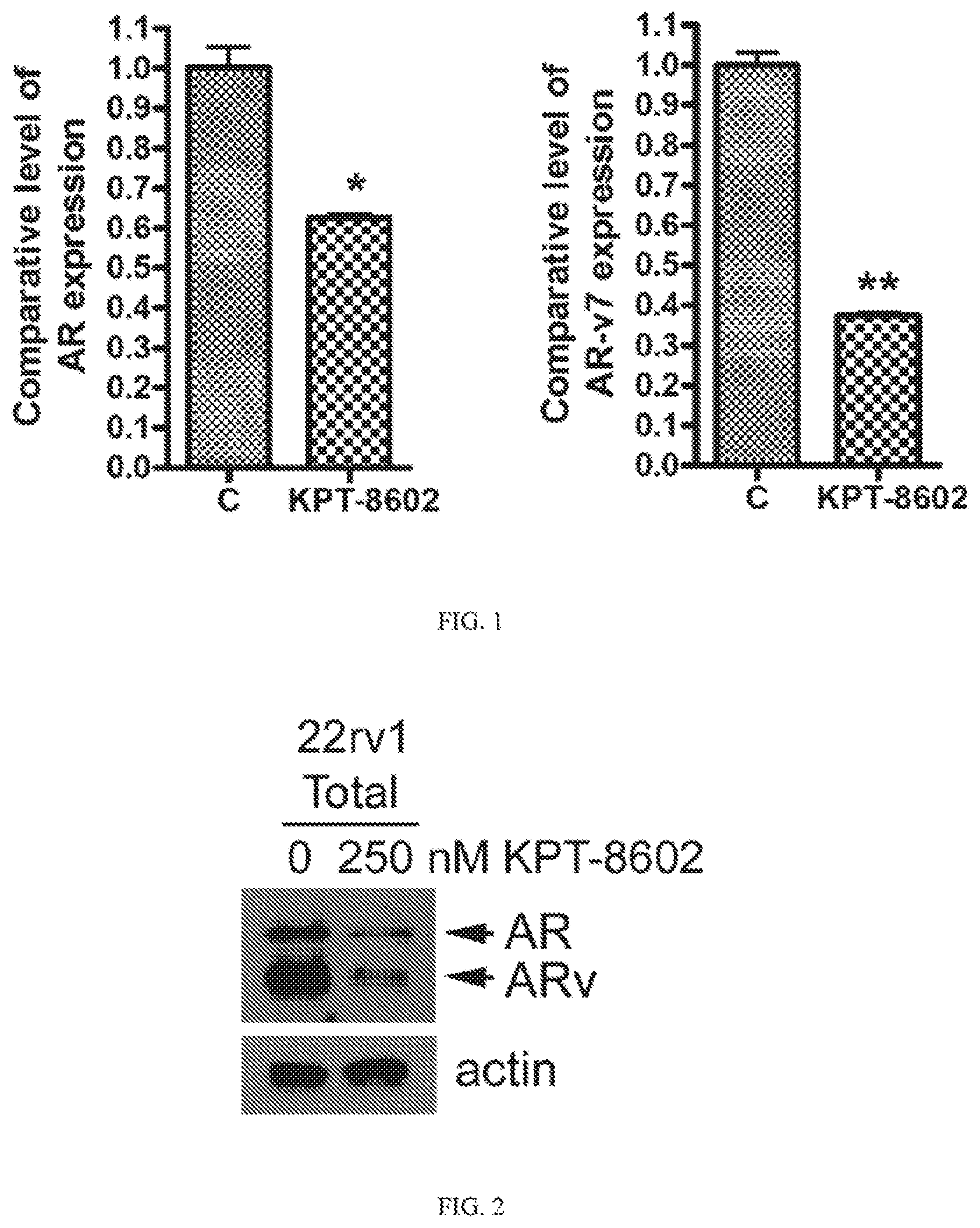 Patent US12318386 — Combination of XPO1 inhibitors and second agents for the treatment of prostate cancer — Figure 1