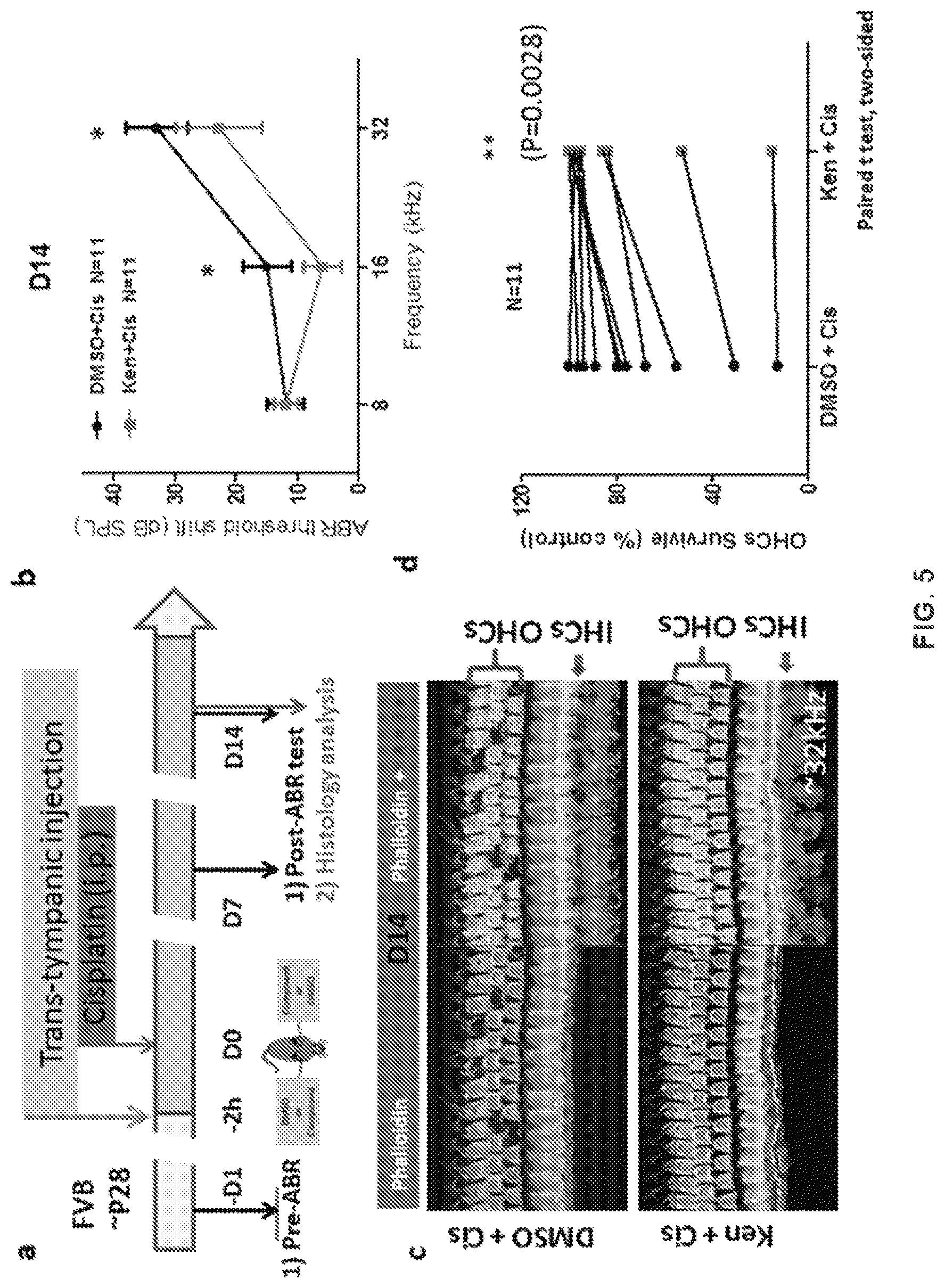 Patent US12318391 Figure 11 – Methods and compositions for the prevention and treatment of hearing loss