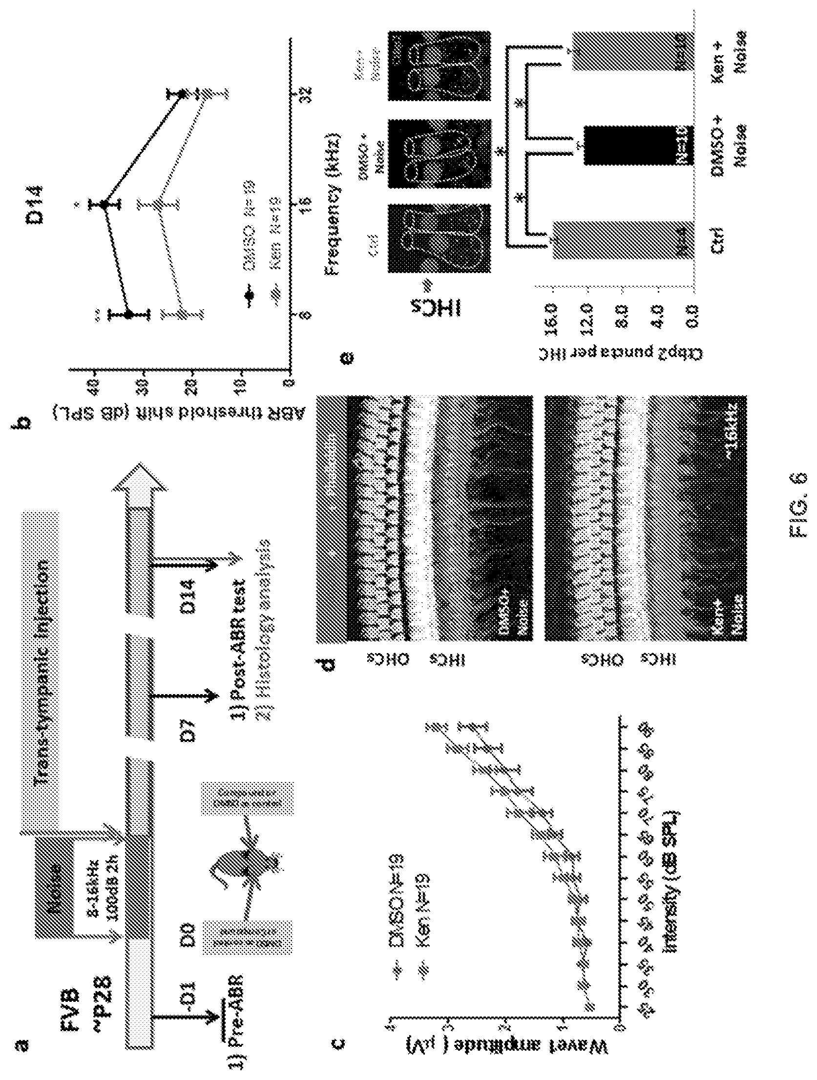 Patent US12318391 Figure 12 – Methods and compositions for the prevention and treatment of hearing loss