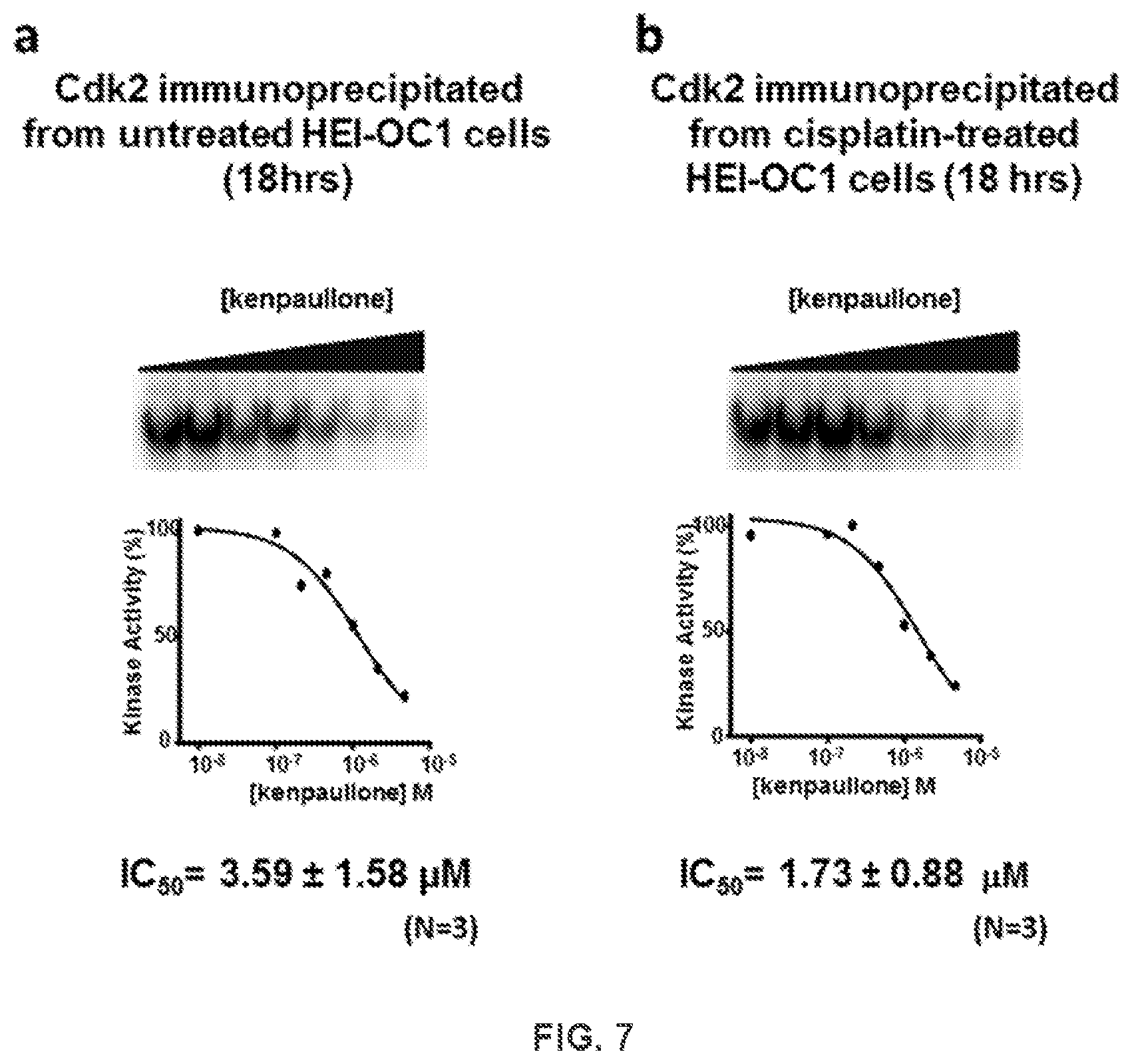 Patent US12318391 Figure 13 – Methods and compositions for the prevention and treatment of hearing loss