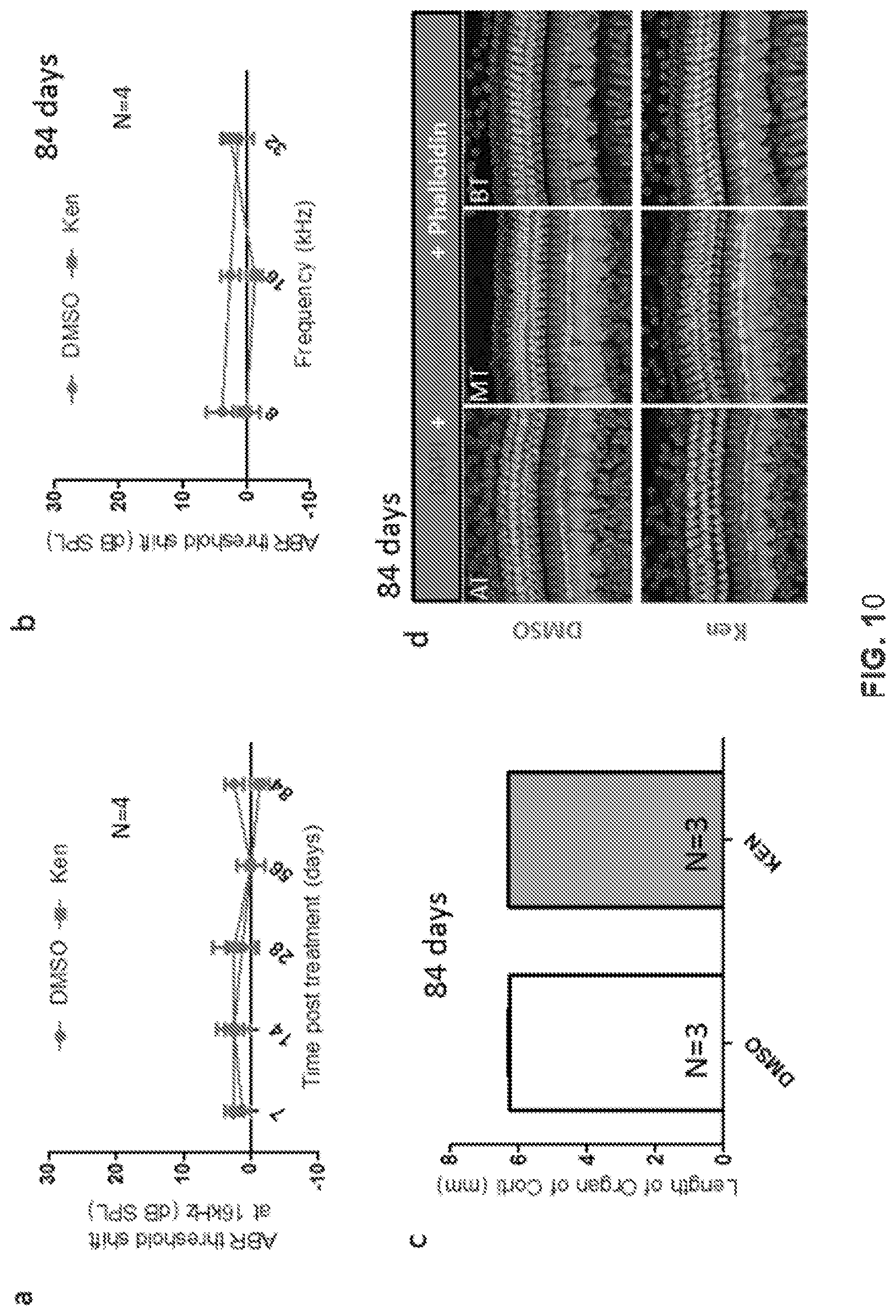 Patent US12318391 Figure 16 – Methods and compositions for the prevention and treatment of hearing loss