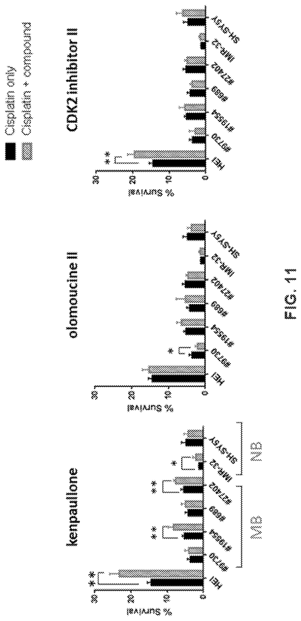 Patent US12318391 Figure 17 – Methods and compositions for the prevention and treatment of hearing loss