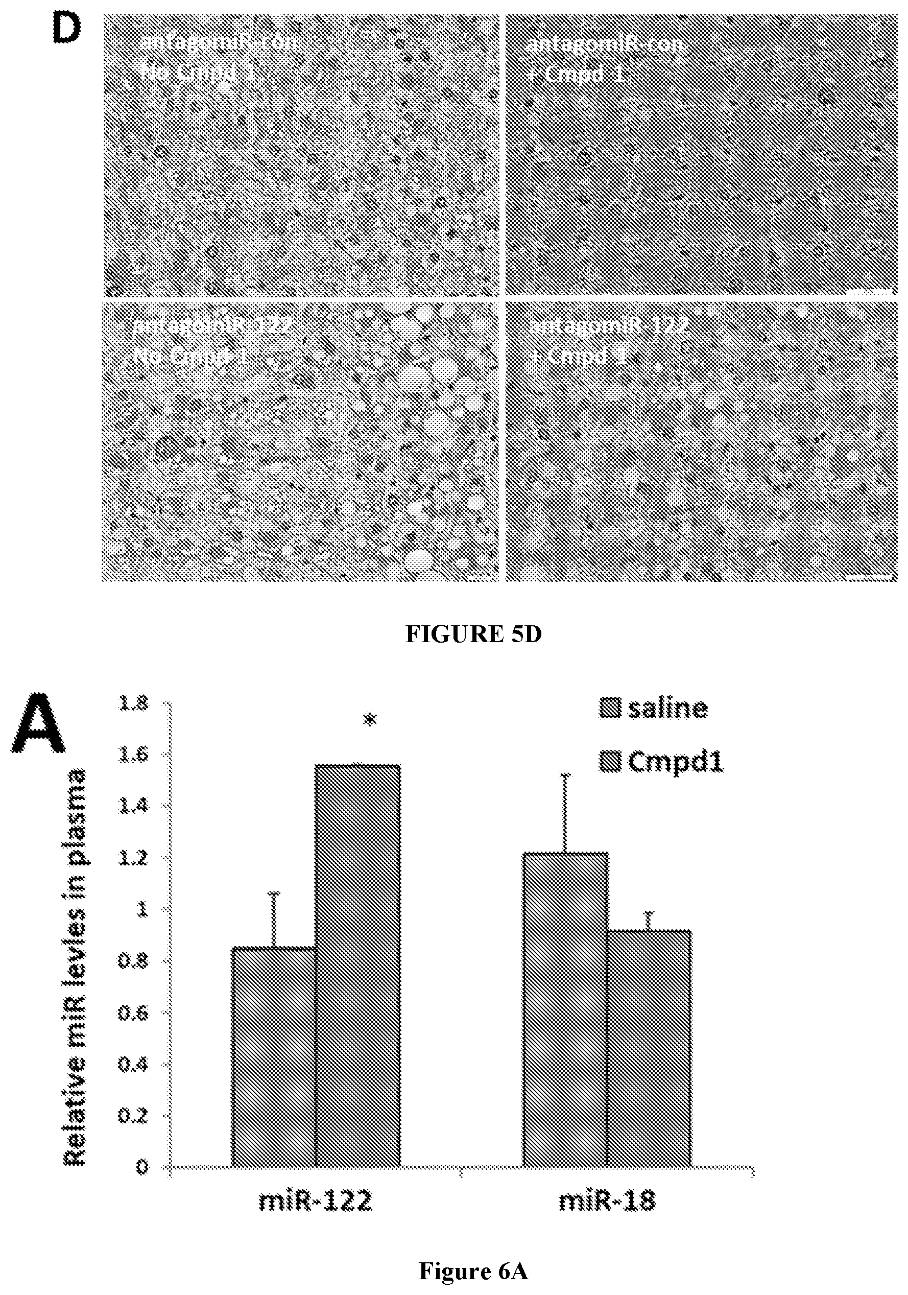 Patent US12318393 Figure 7 – Modulators of orphan nuclear receptors for NASH and other metabolic disorders