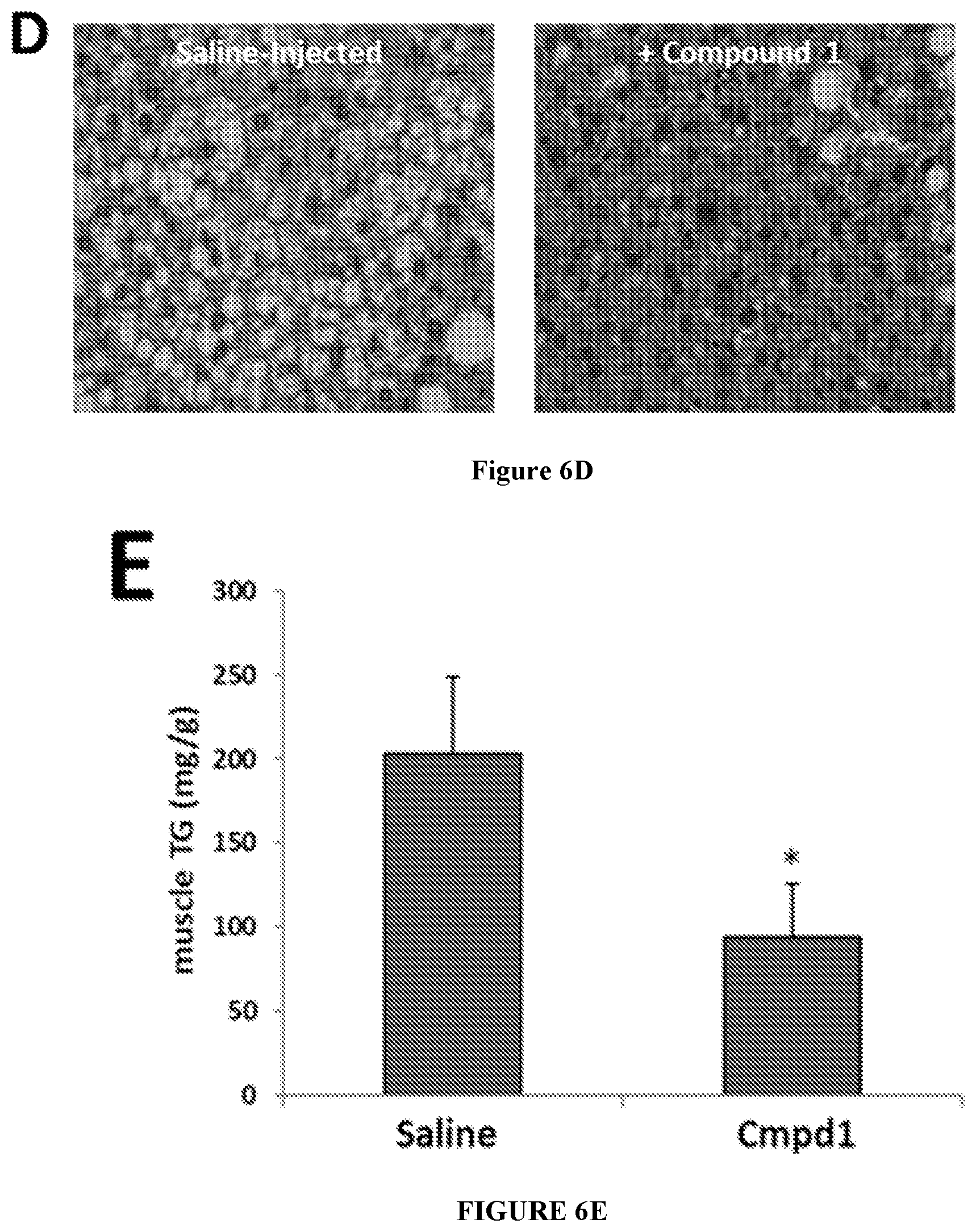 Patent US12318393 Figure 9 – Modulators of orphan nuclear receptors for NASH and other metabolic disorders