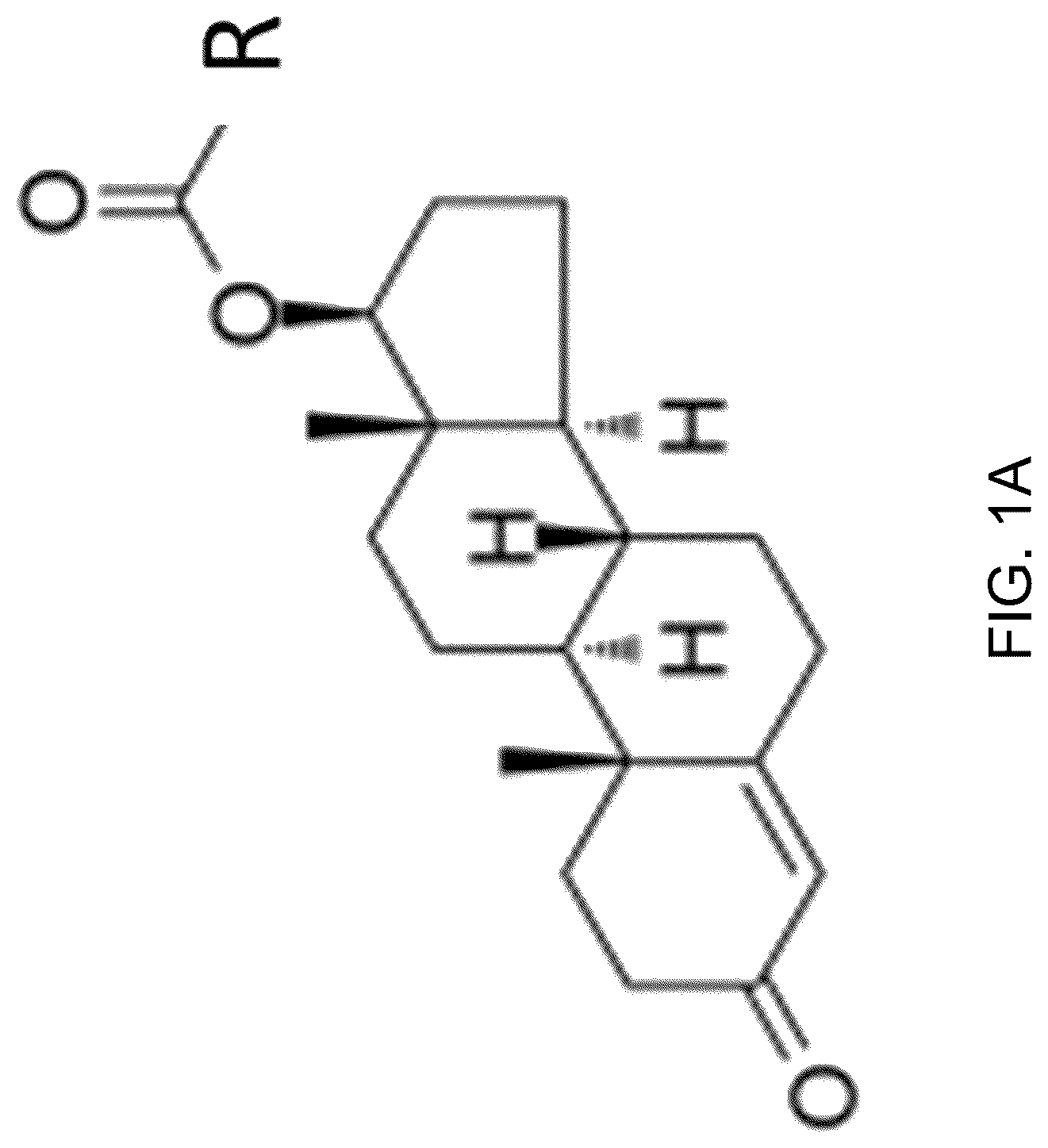 Patent US12318396 — Oral (17-β)-3-oxoandrost-4-en-17-yl tridecanoate therapy — Figure 1