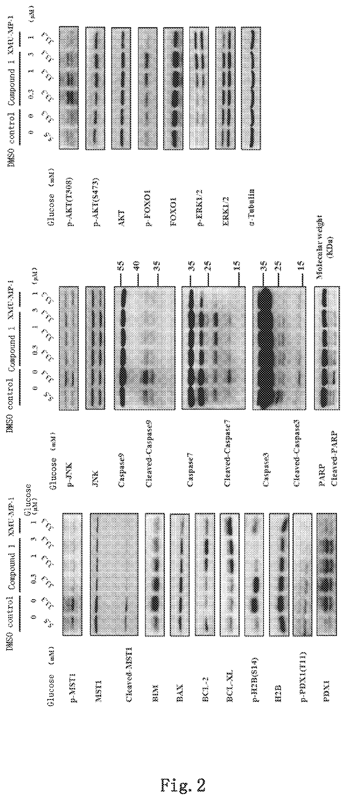 Patent US12318398 Figure 2 – MST1 kinase inhibitor and use thereof