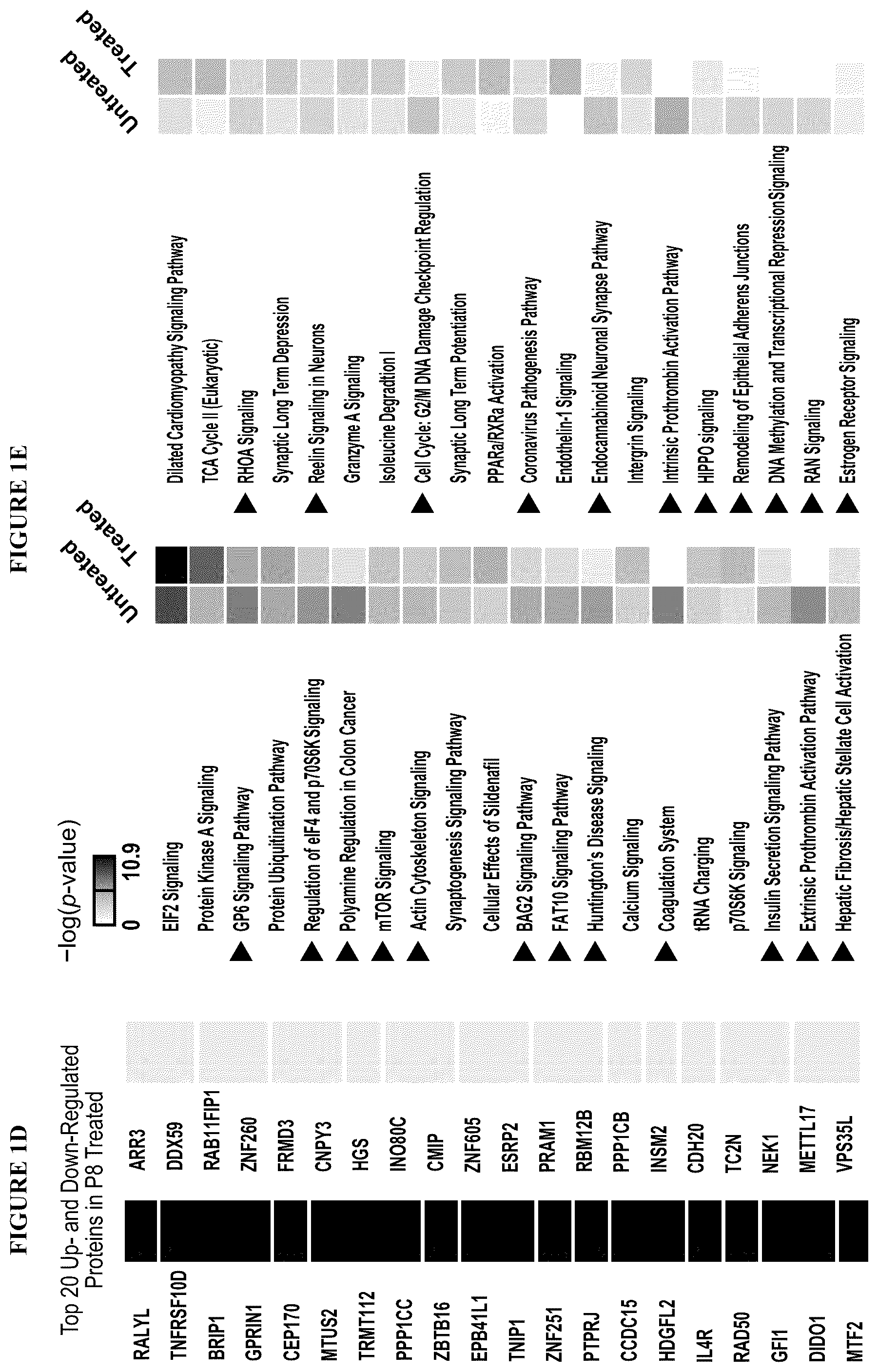 Patent US12318399 Figure 2 – Stabilized compositions comprising cannabidiol