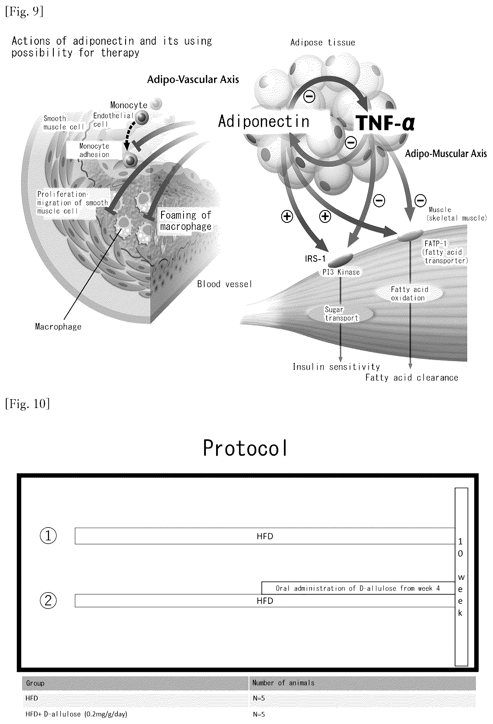 Patent US12318400 Figure 6 – Brown and beige adipocyte activating agent containing D-allulose as active ingredient